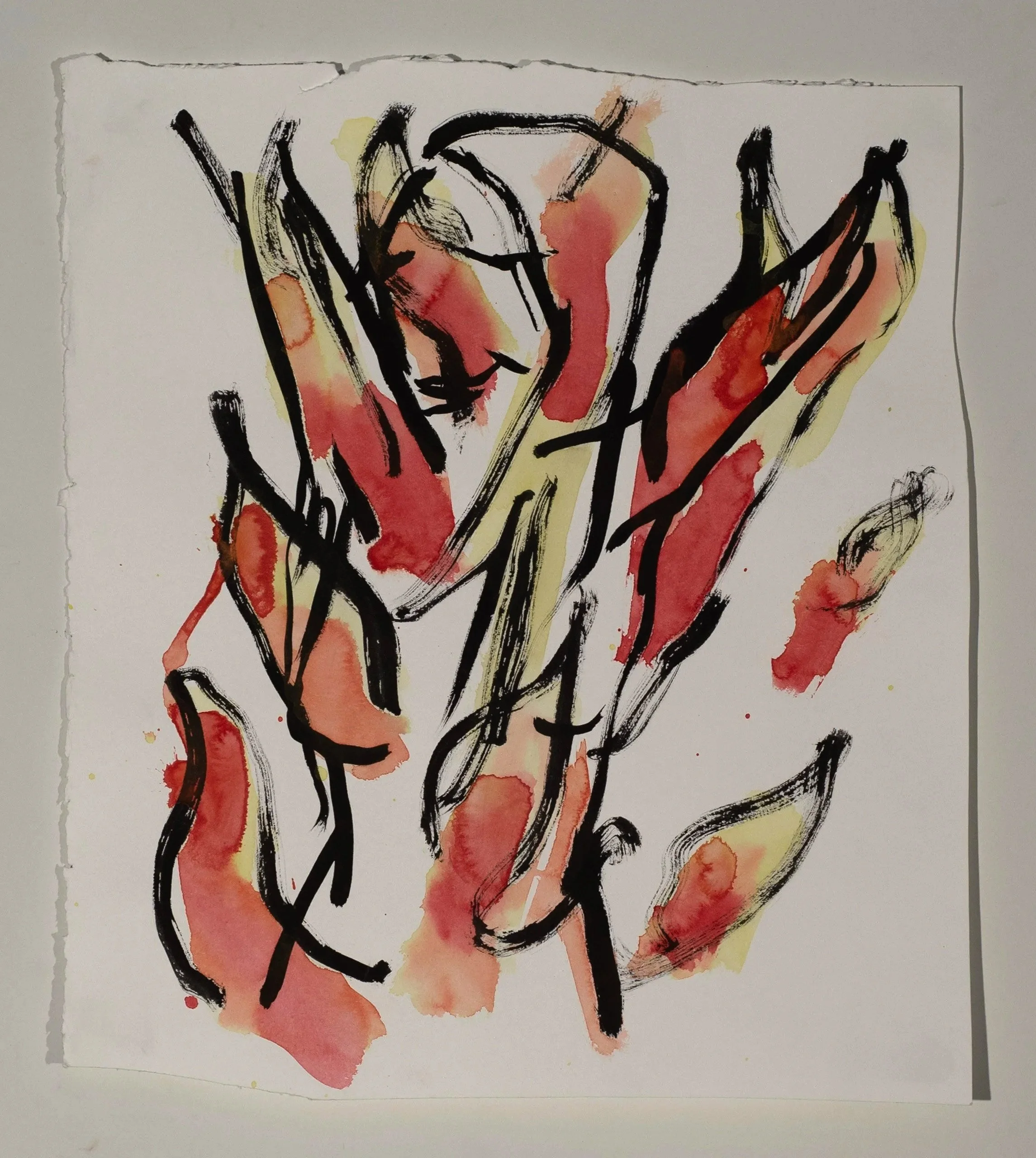 2026, watercolor on paper, 10 x 8 in.