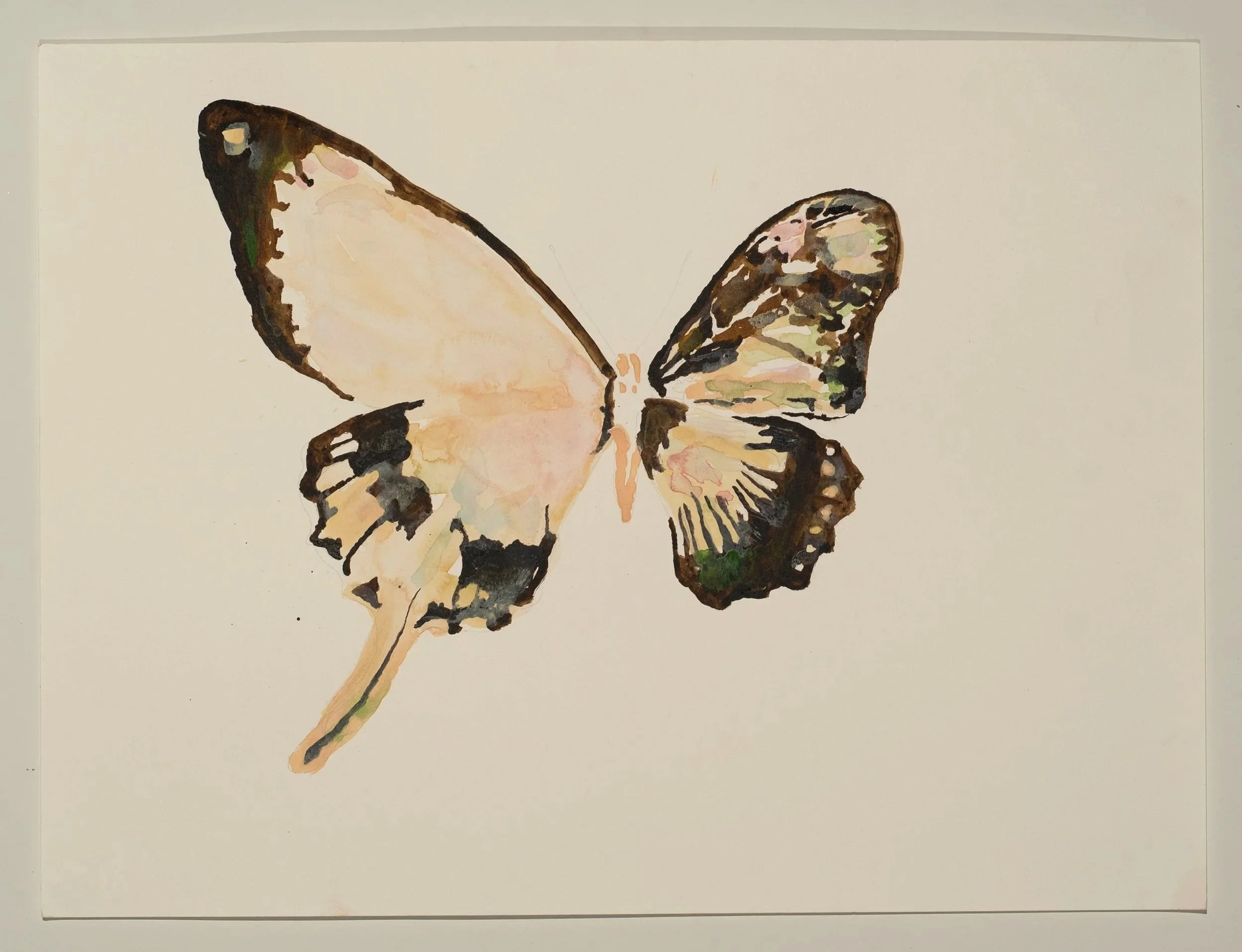 2025, watercolor on paper, 18 x 24 in.