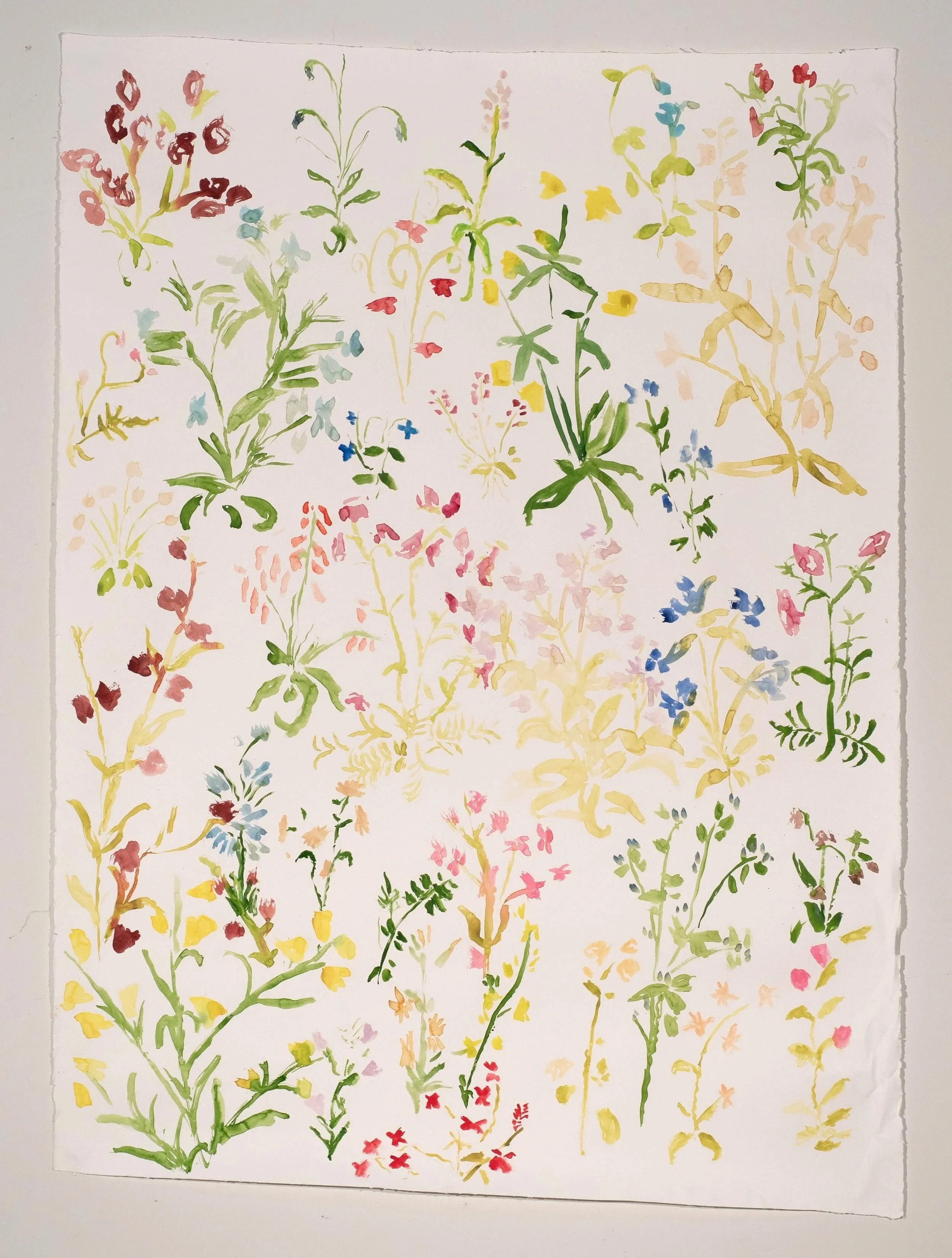 2025, watercolor on paper, 69 x 50 in.
