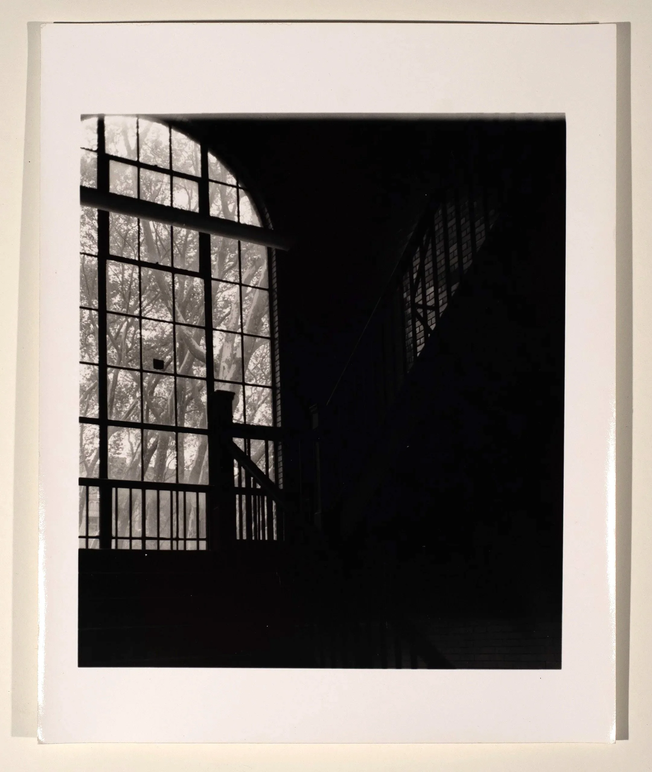 2018, silver gelatin print, 10 x 8 in.