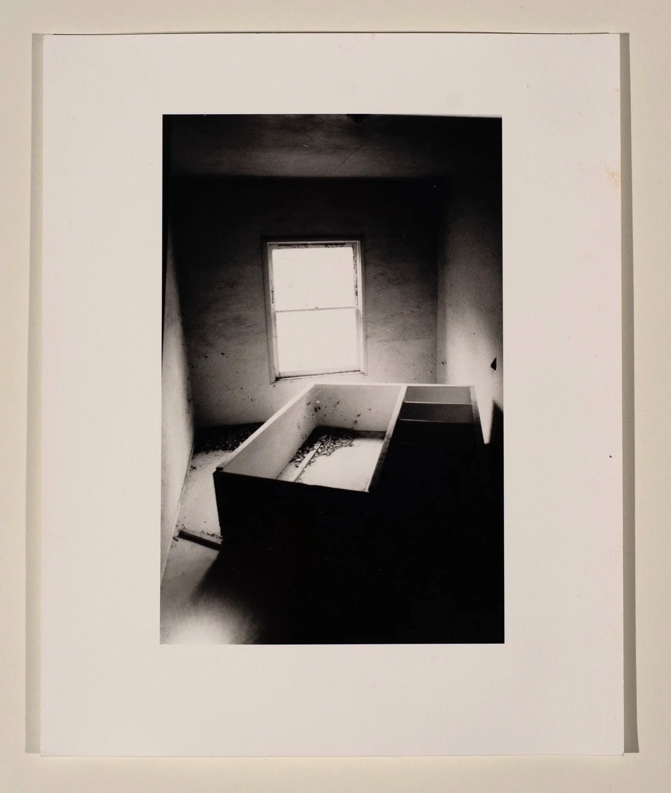 2017, silver gelatin print, 10 x 8 in.