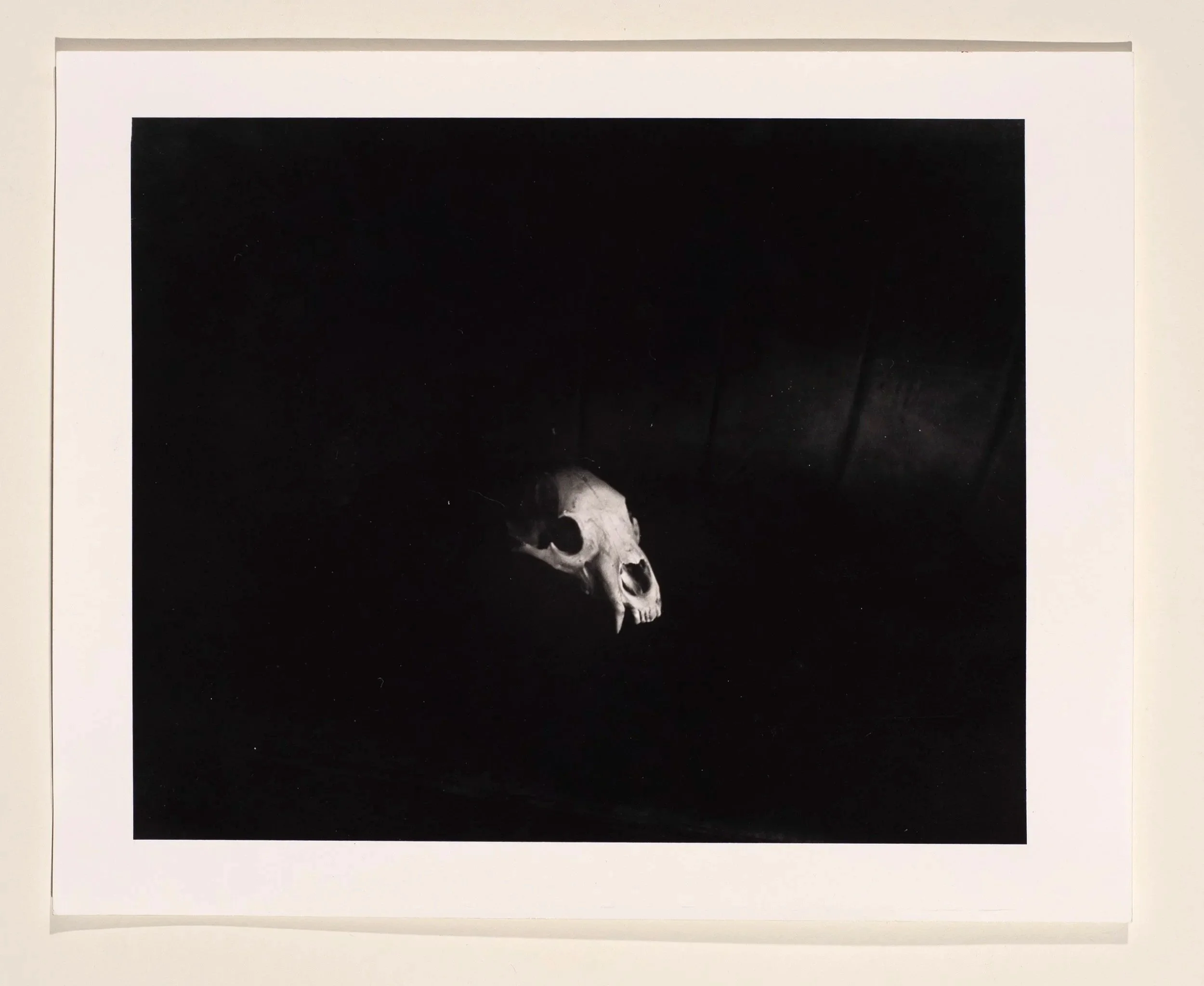 2024, silver gelatin print, 8 x 10 in.
