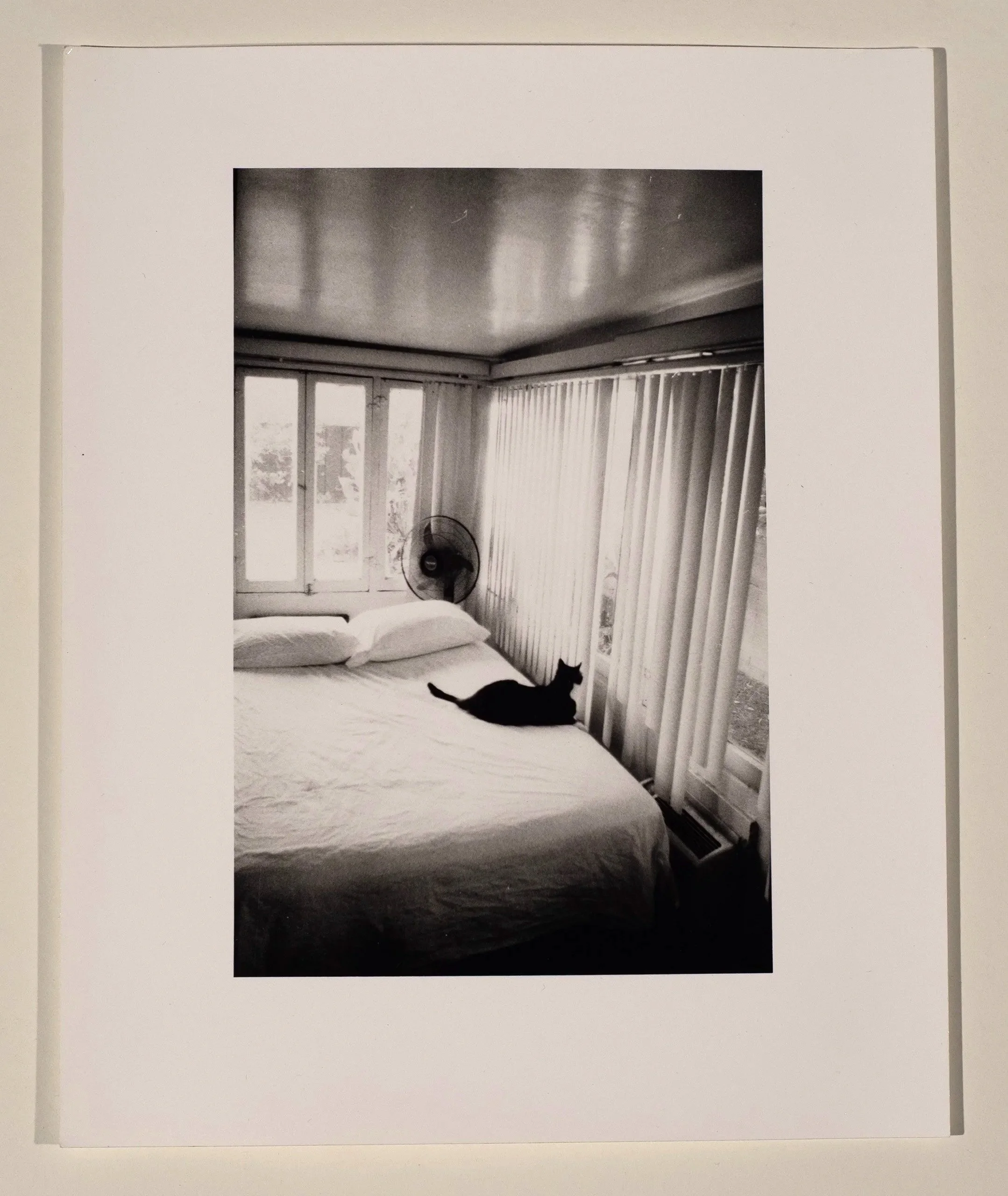 2017, silver gelatin print, 10 x 8 in.