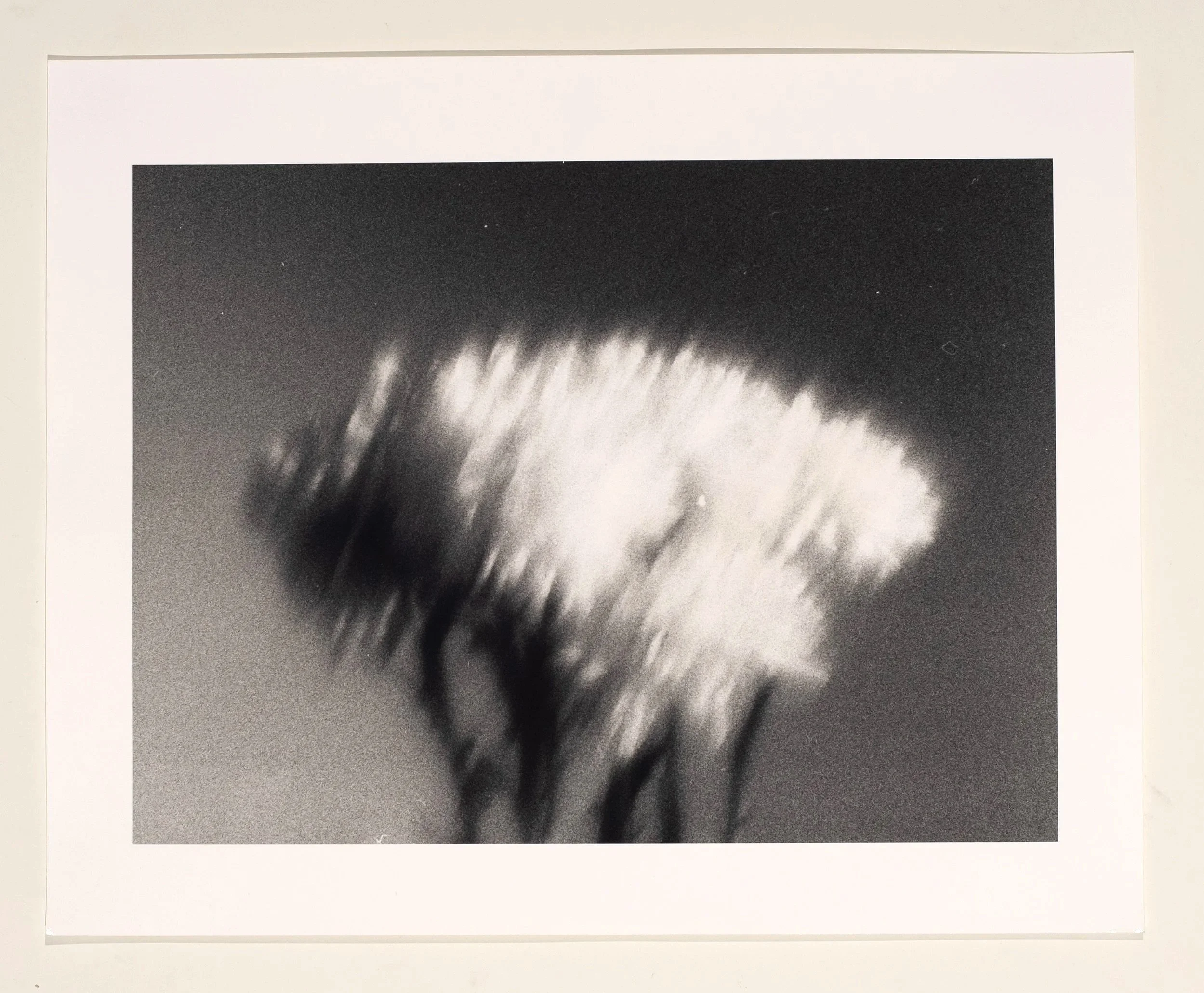 2019, silver gelatin print, 16 x 20 in.
