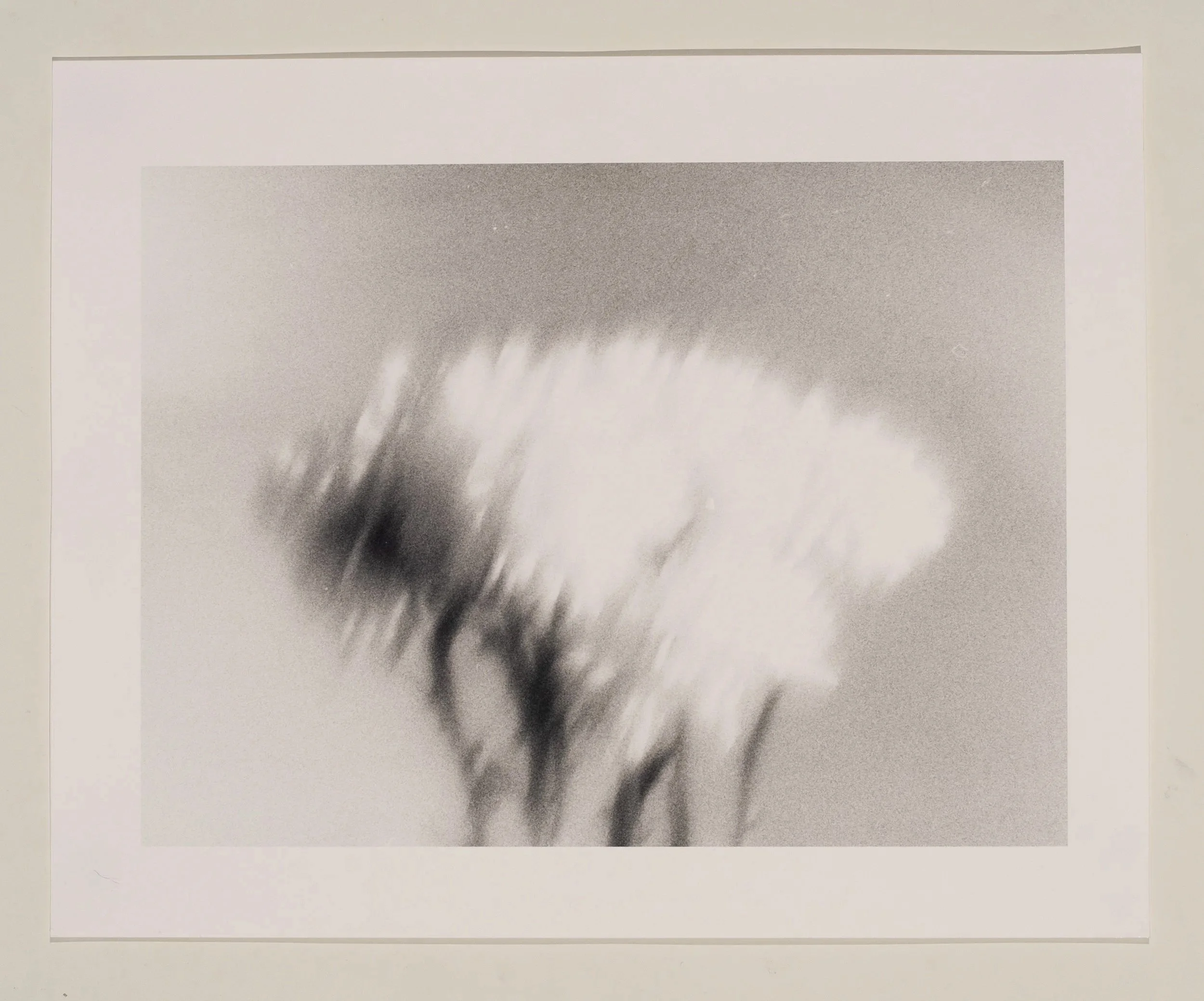2019, silver gelatin print, 16 x 20 in.