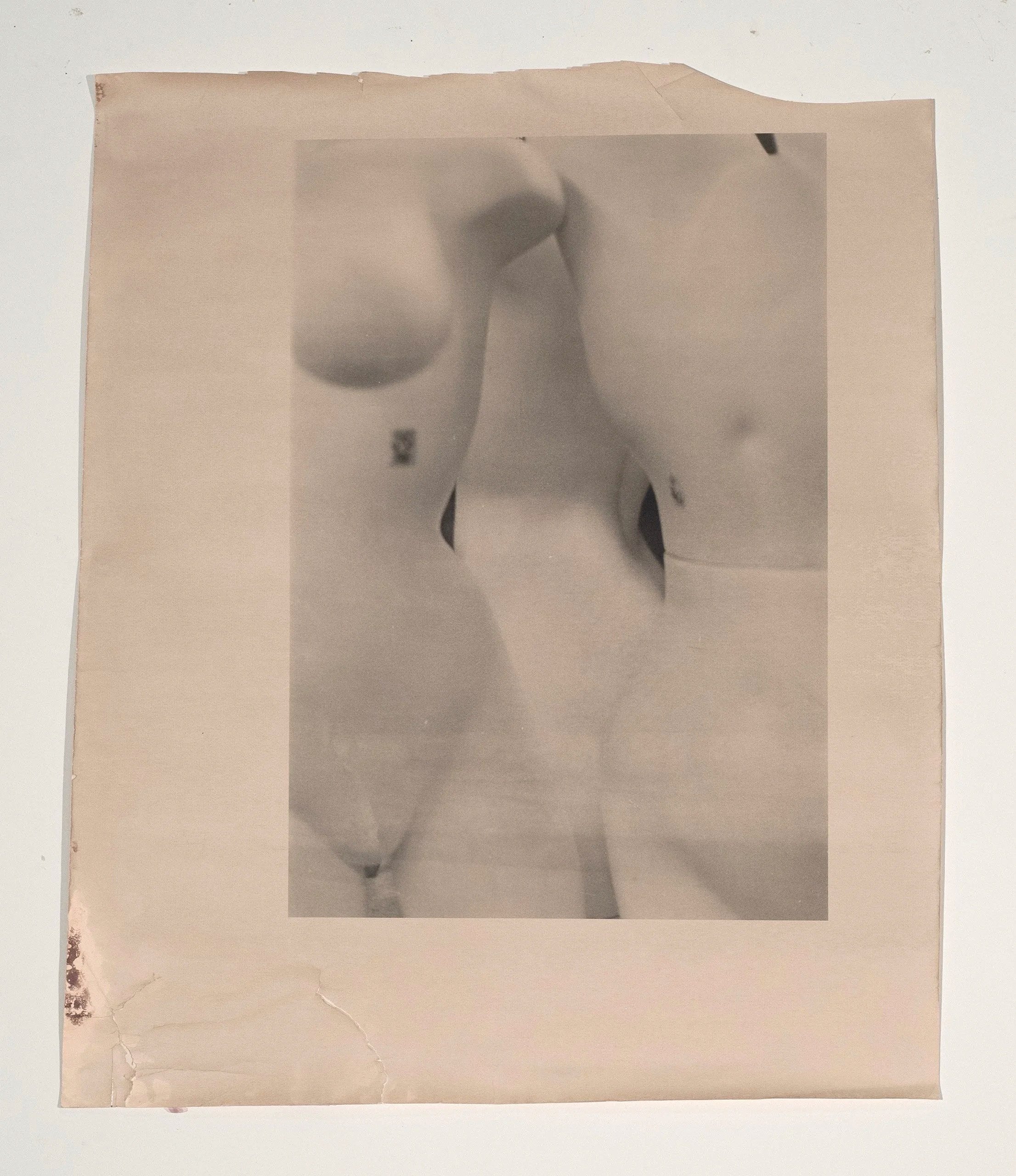 2025, chemigram and silver gelatin print, 30 x 25 in.