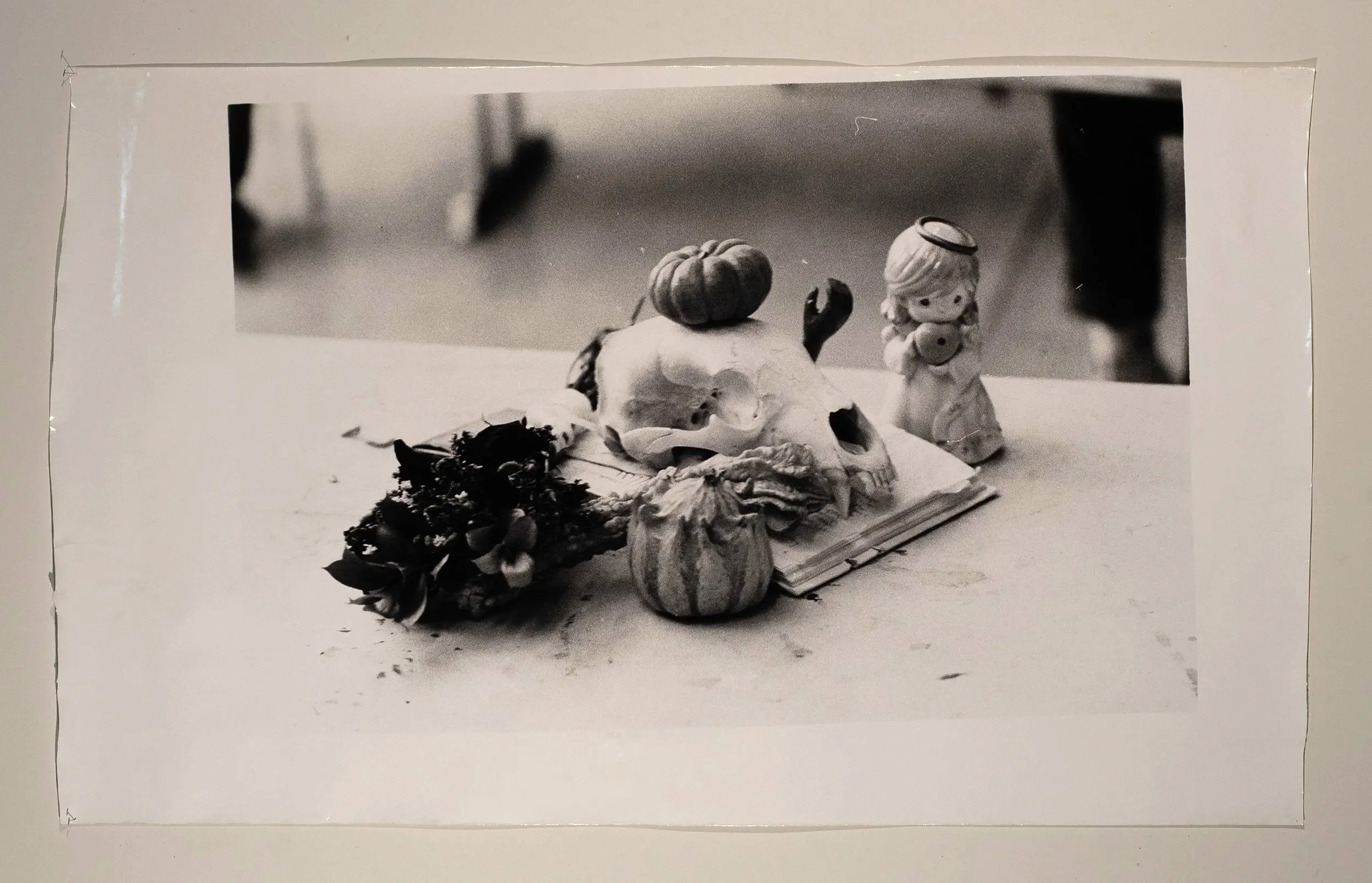 2024, silver gelatin print, 70 x 42 in.