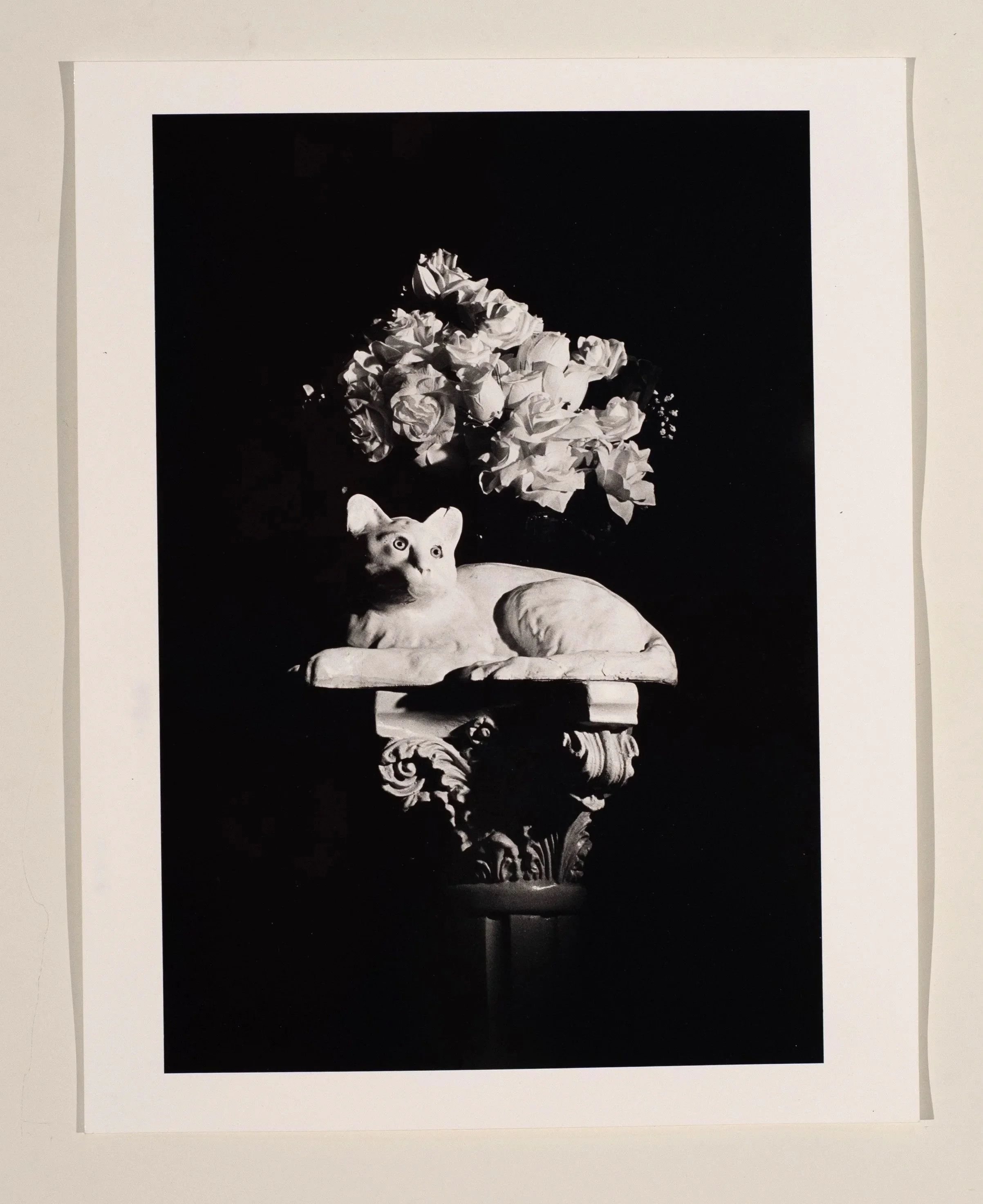2017, silver gelatin print, 14 x 11 in.