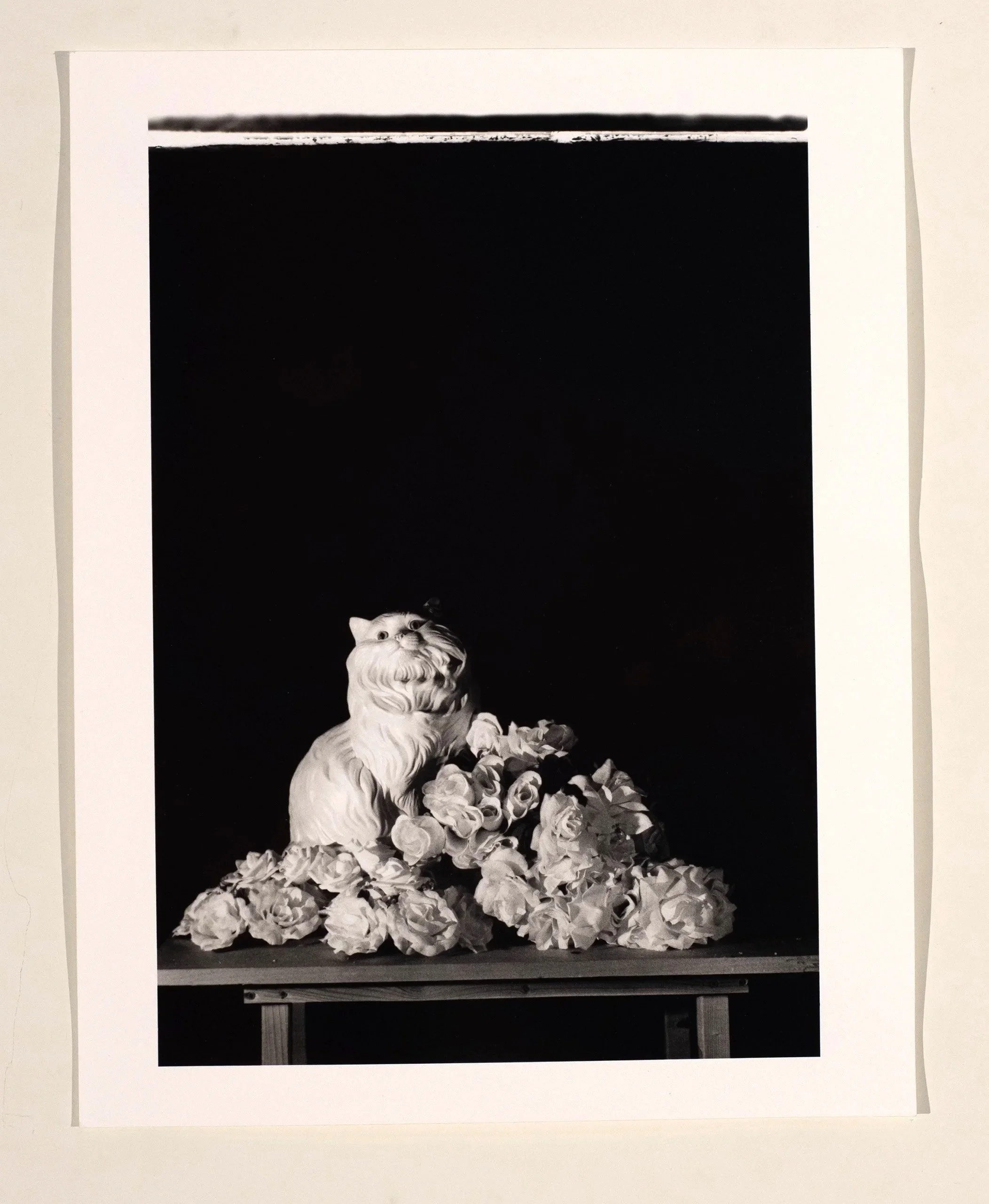 2017, silver gelatin print, 14 x 11 in.