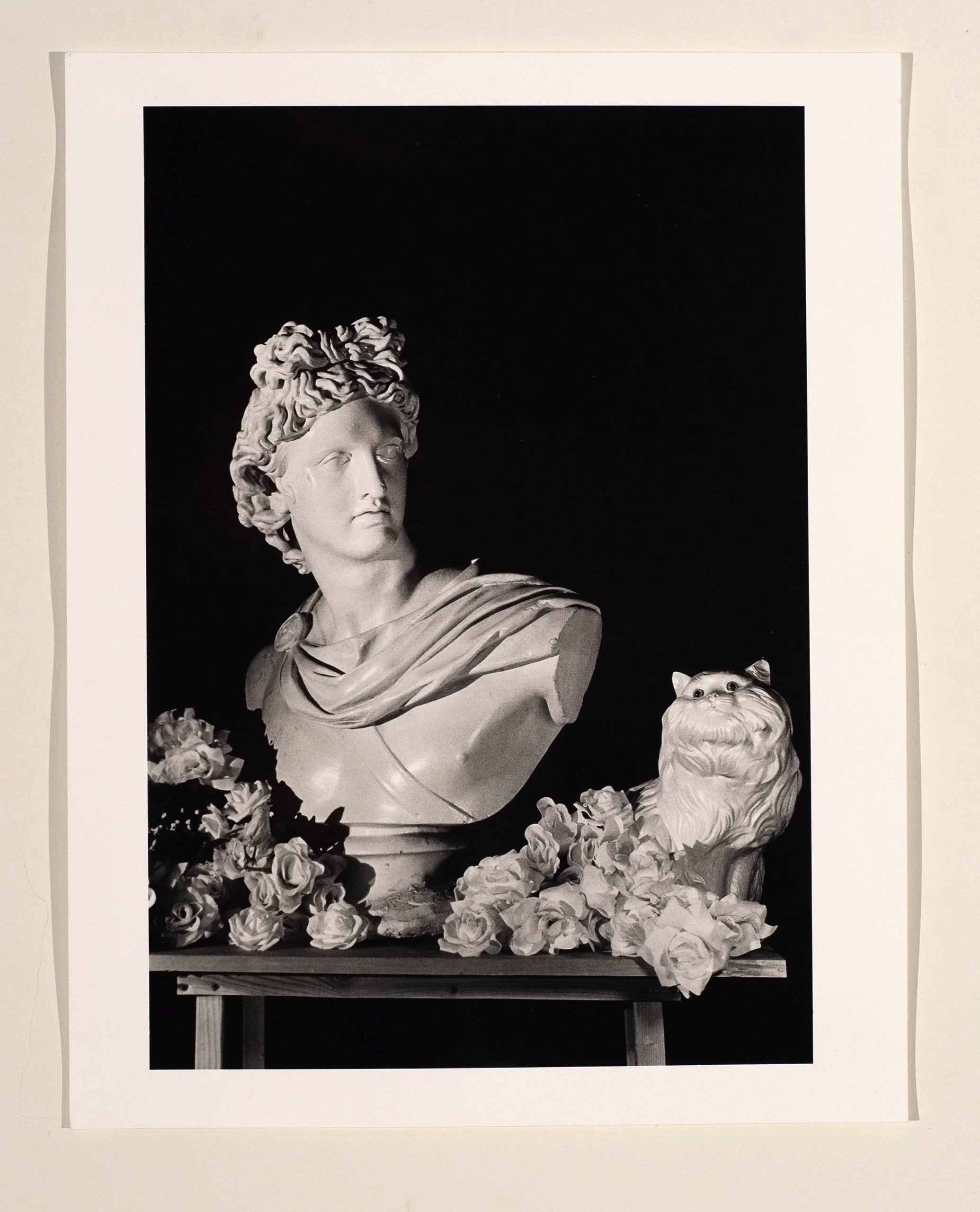 2017, silver gelatin print, 14 x 11 in.