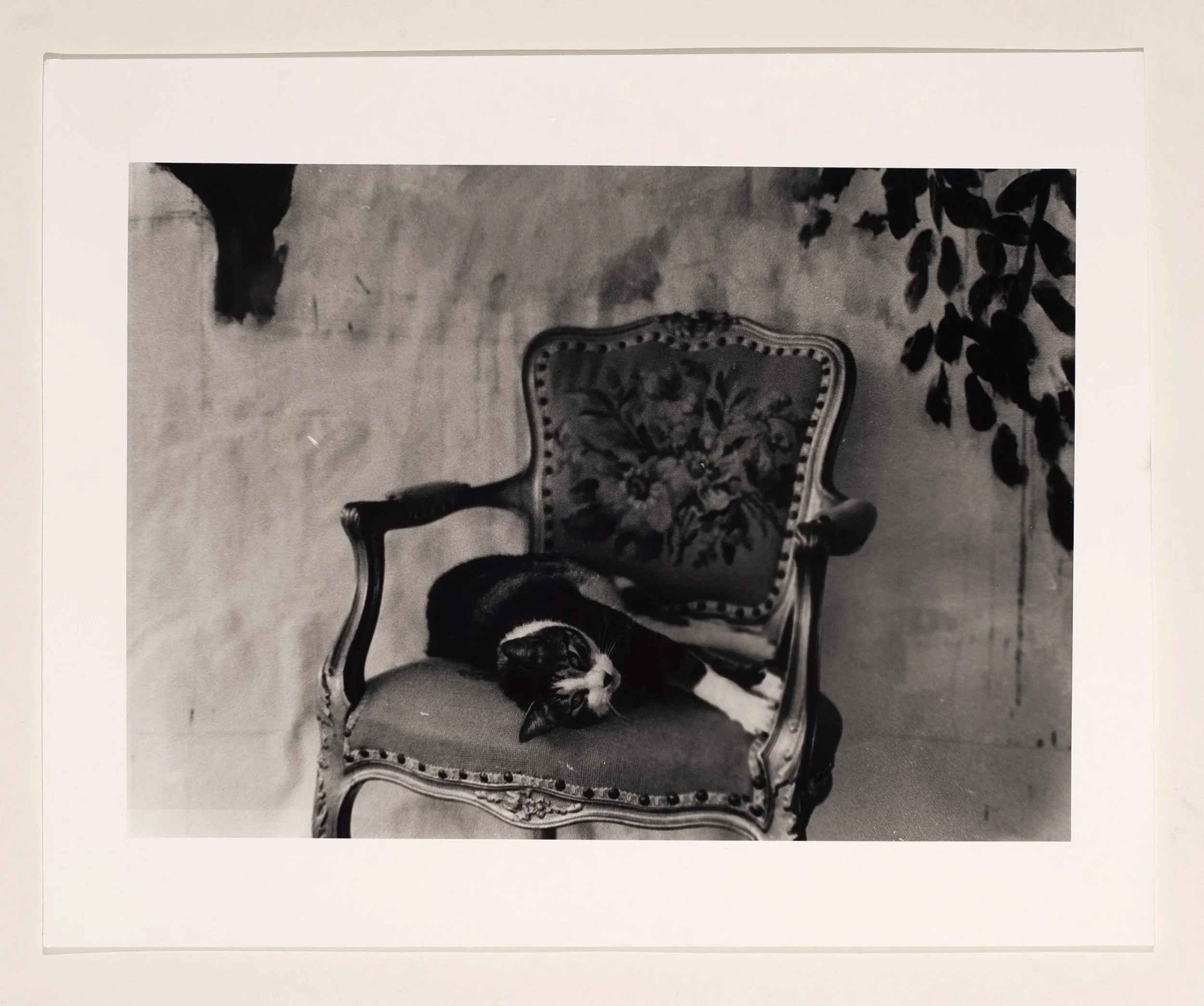 2023, silver gelatin print, 16 x 20 in.