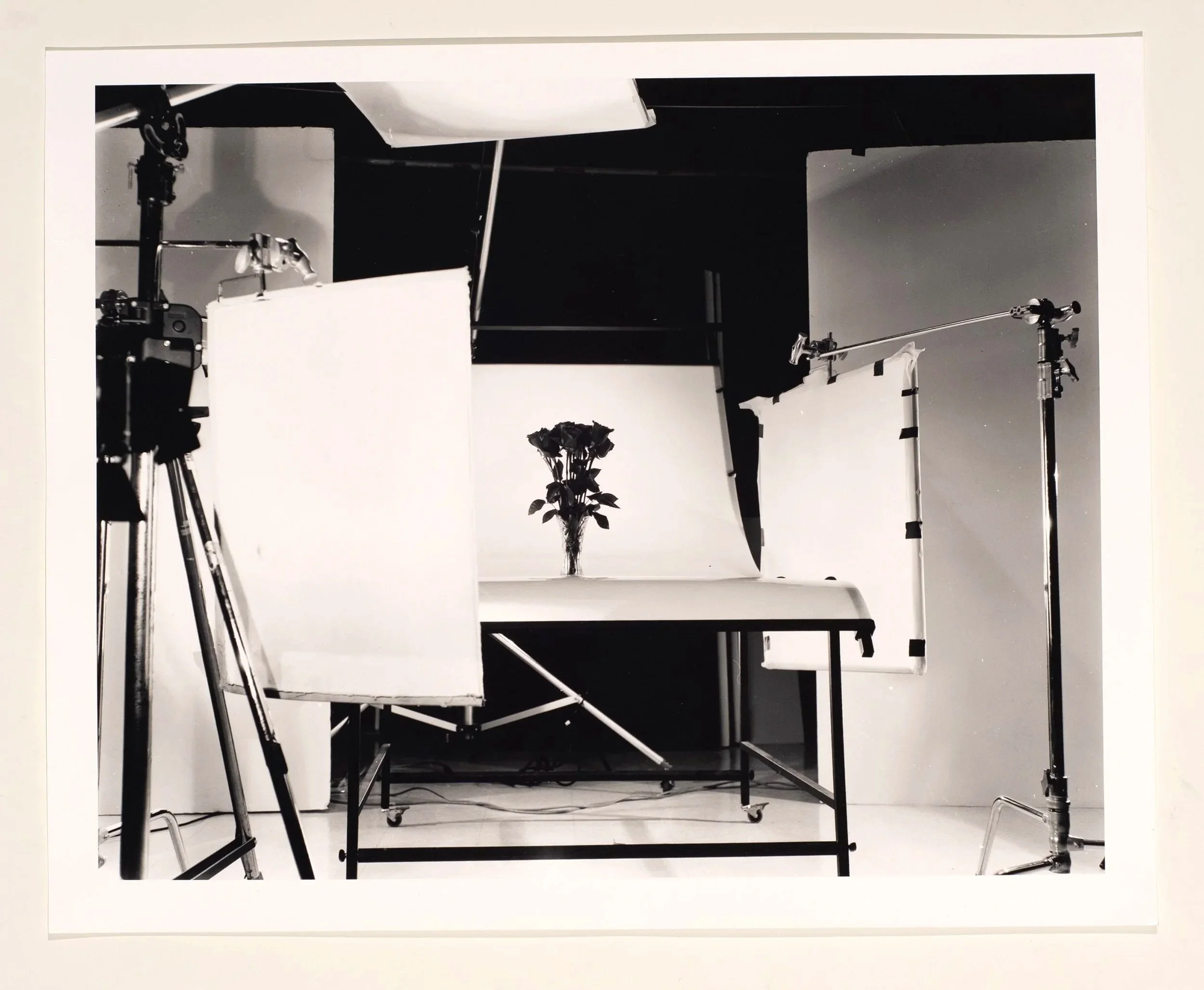 2019, silver gelatin print, 16 x 20 in.