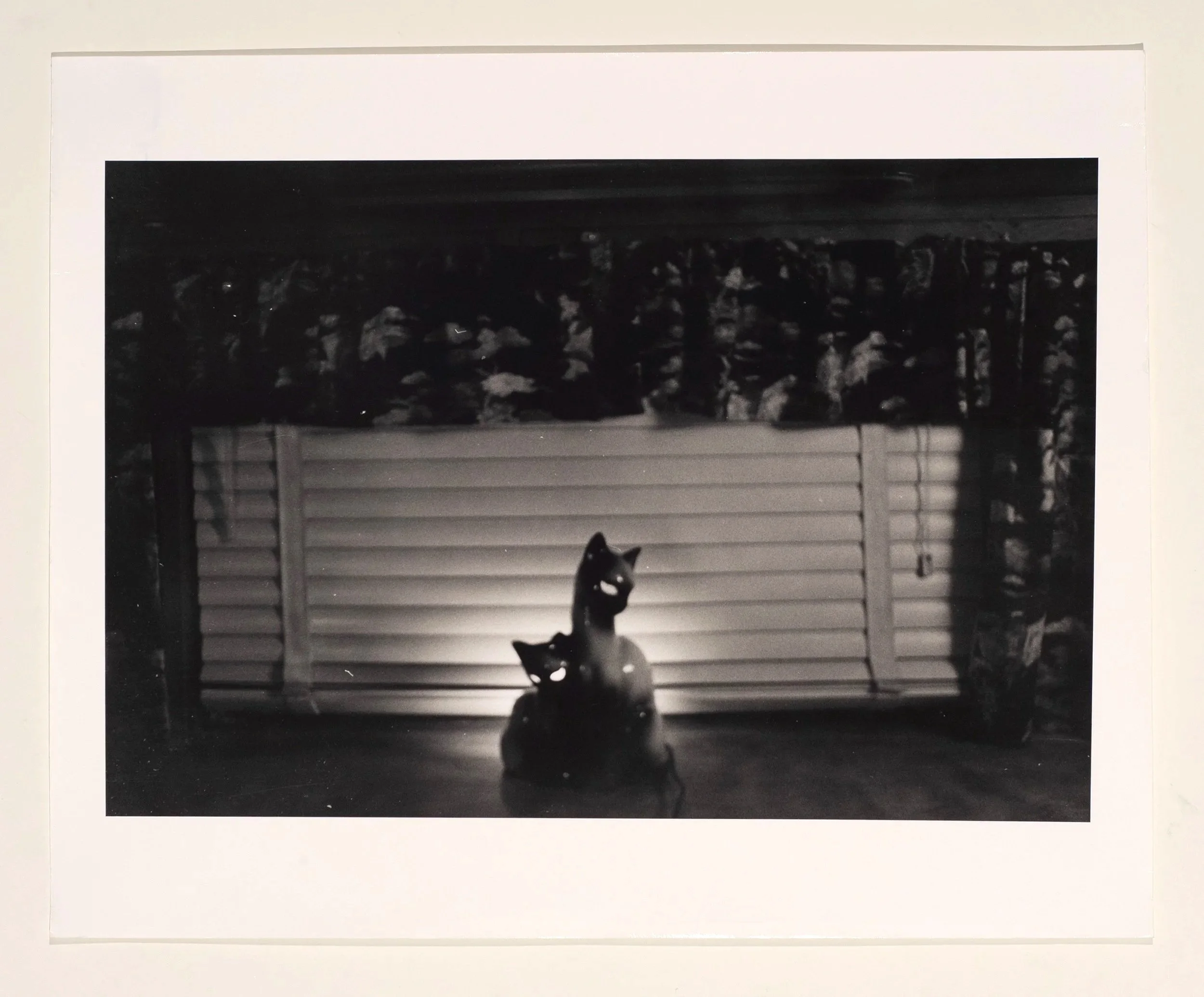 2023, silver gelatin print, 16 x 20 in.