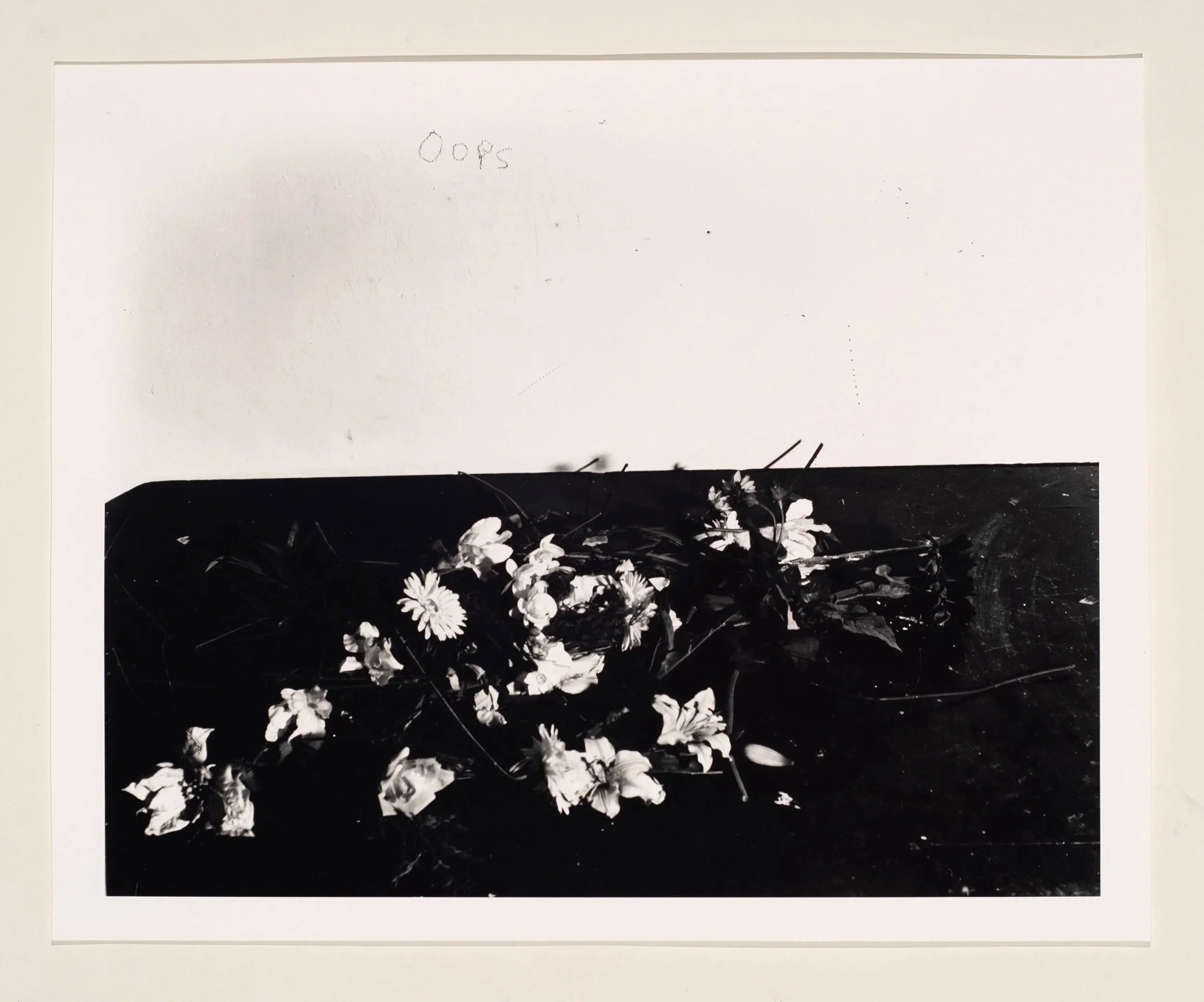 2019, silver gelatin print, 16 x 20 in.