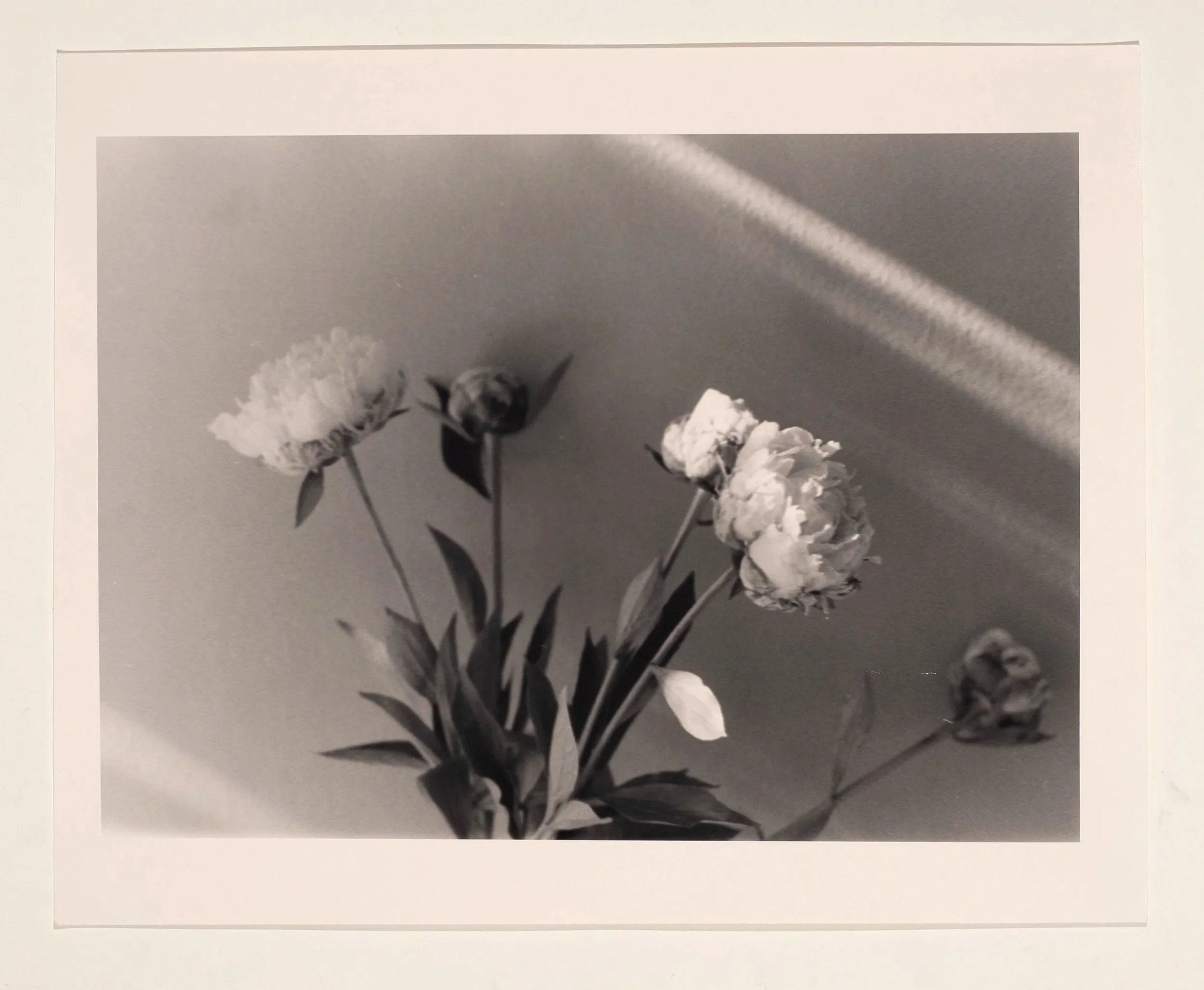 2023, silver gelatin print, 16 x 20 in.