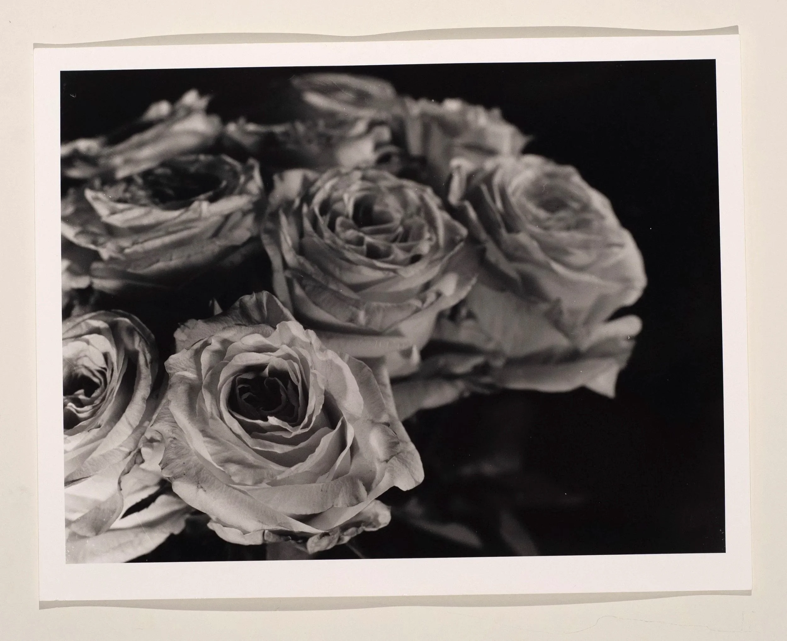 2019, silver gelatin print, 16 x 20 in.