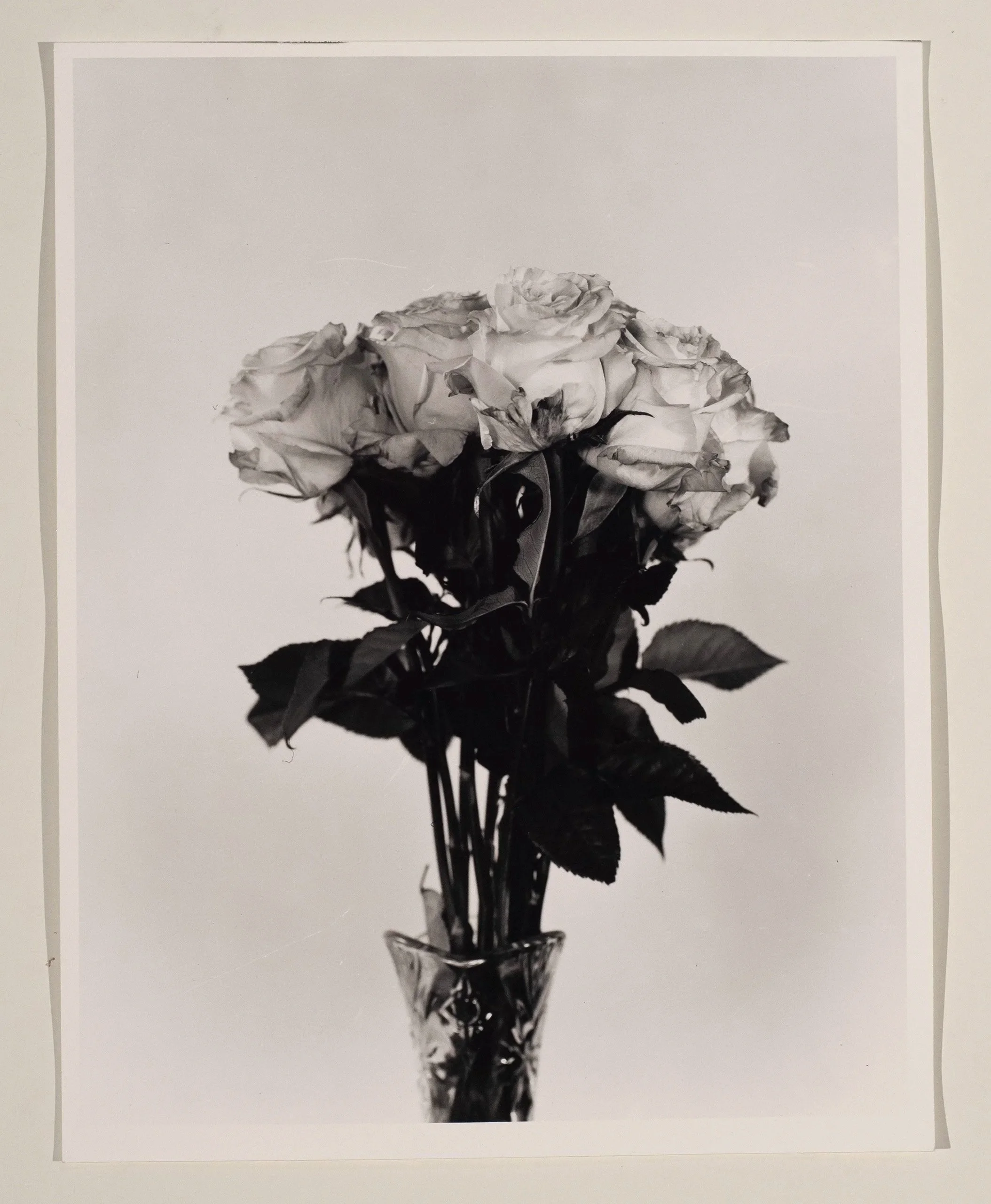 2019, silver gelatin print, 14 x 11 in.