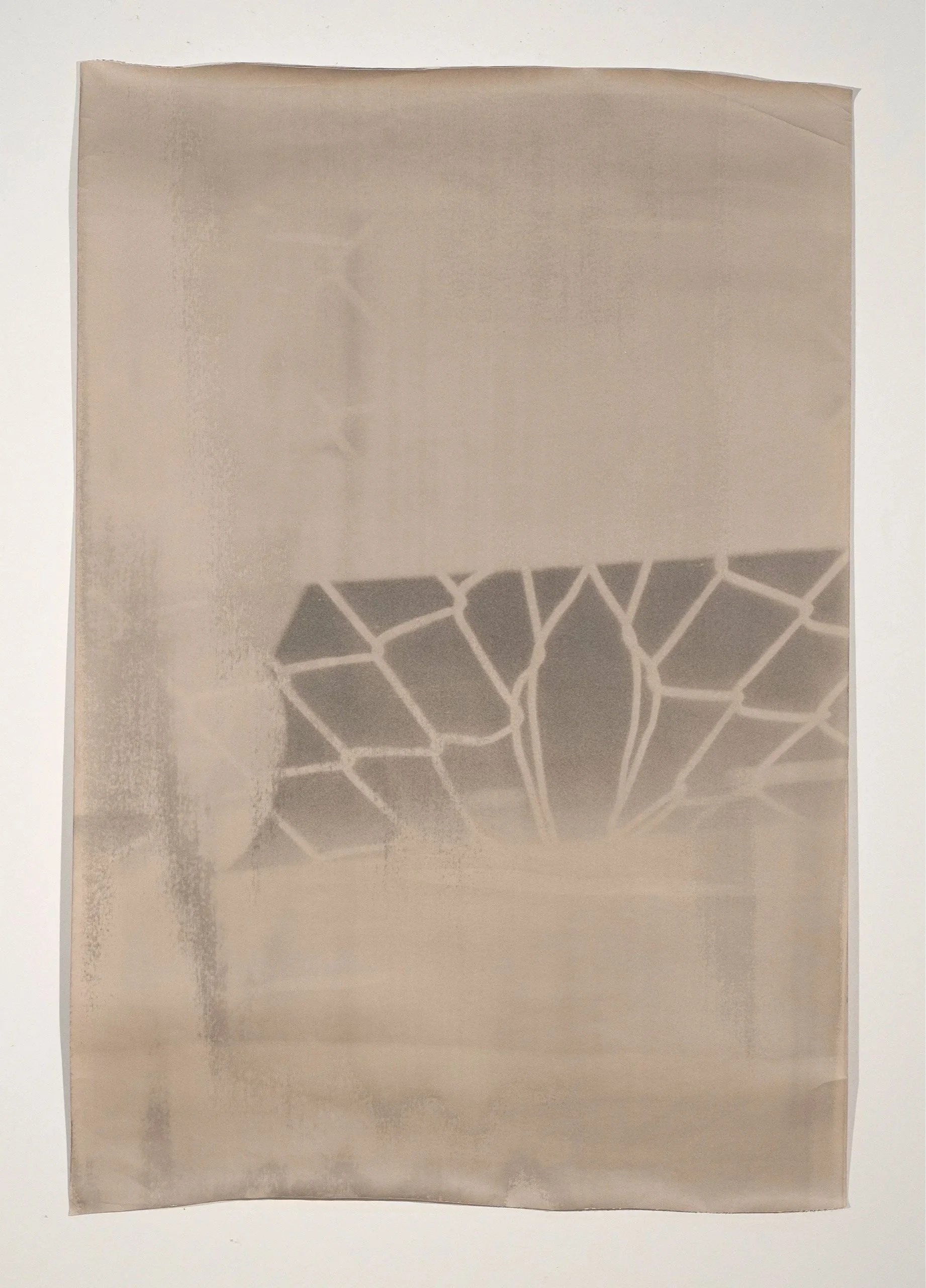 2026, silver gelatin print, 60 x 41 in.
