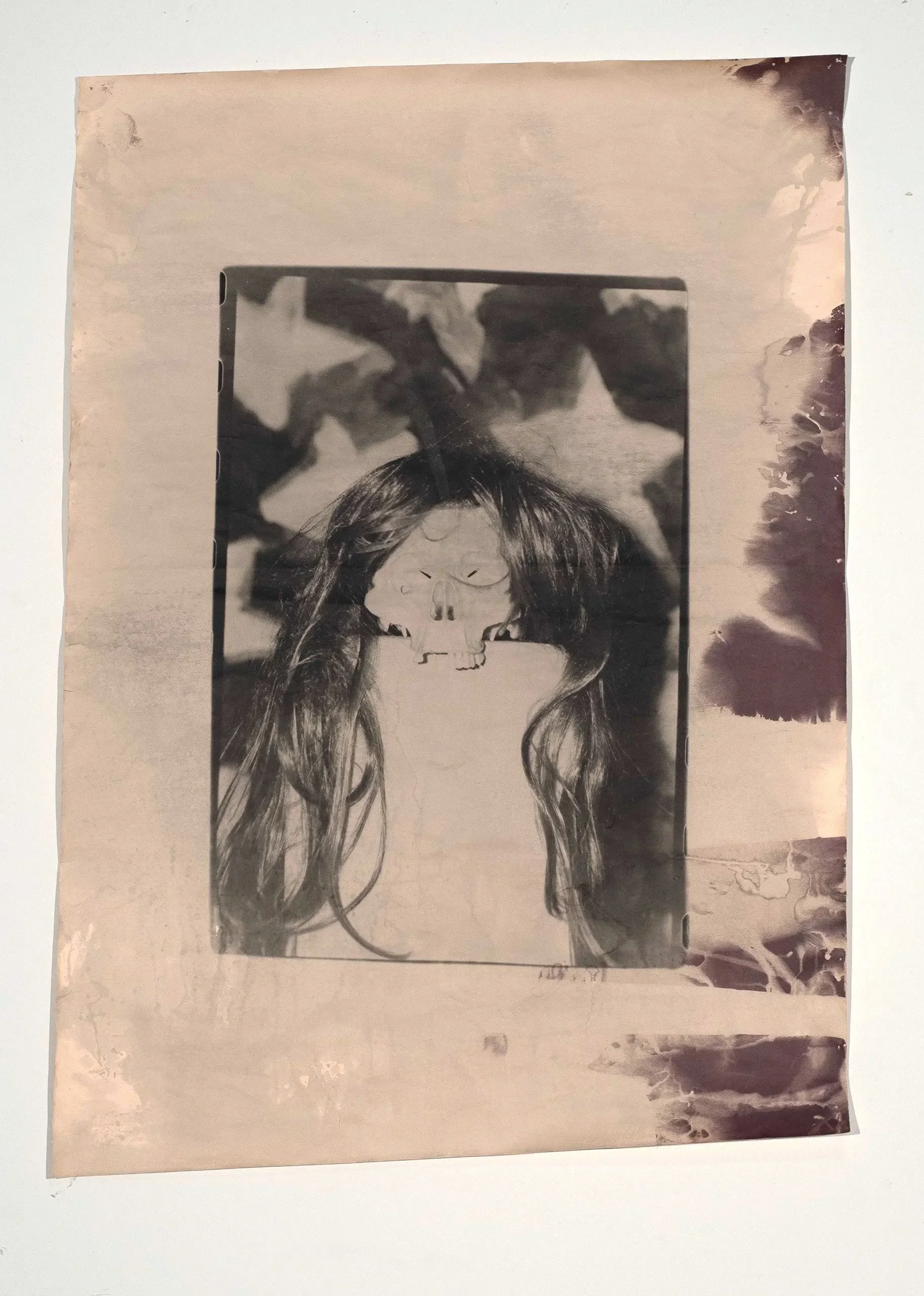 2025, chemigram and silver gelatin print, 41 x 29 in.