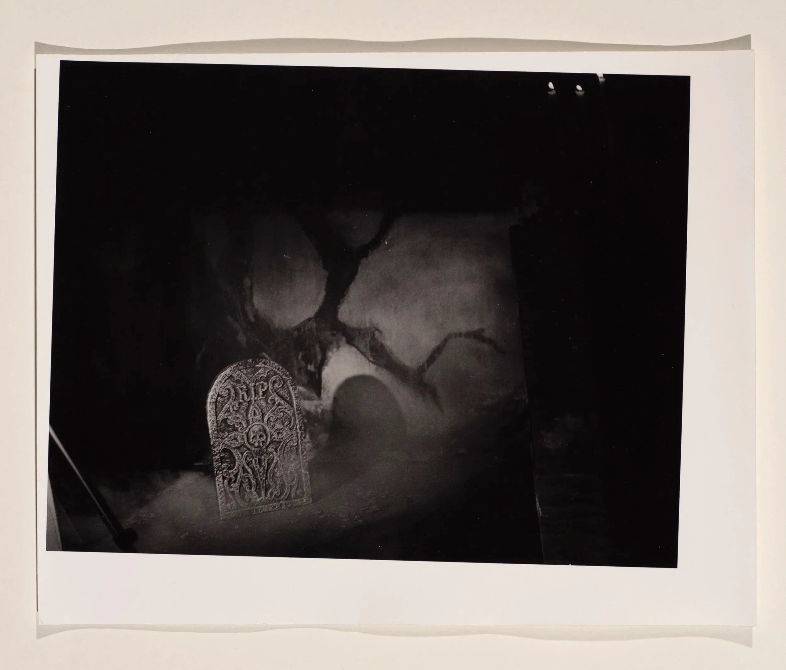 2026, silver gelatin print, 8 x 10 in.