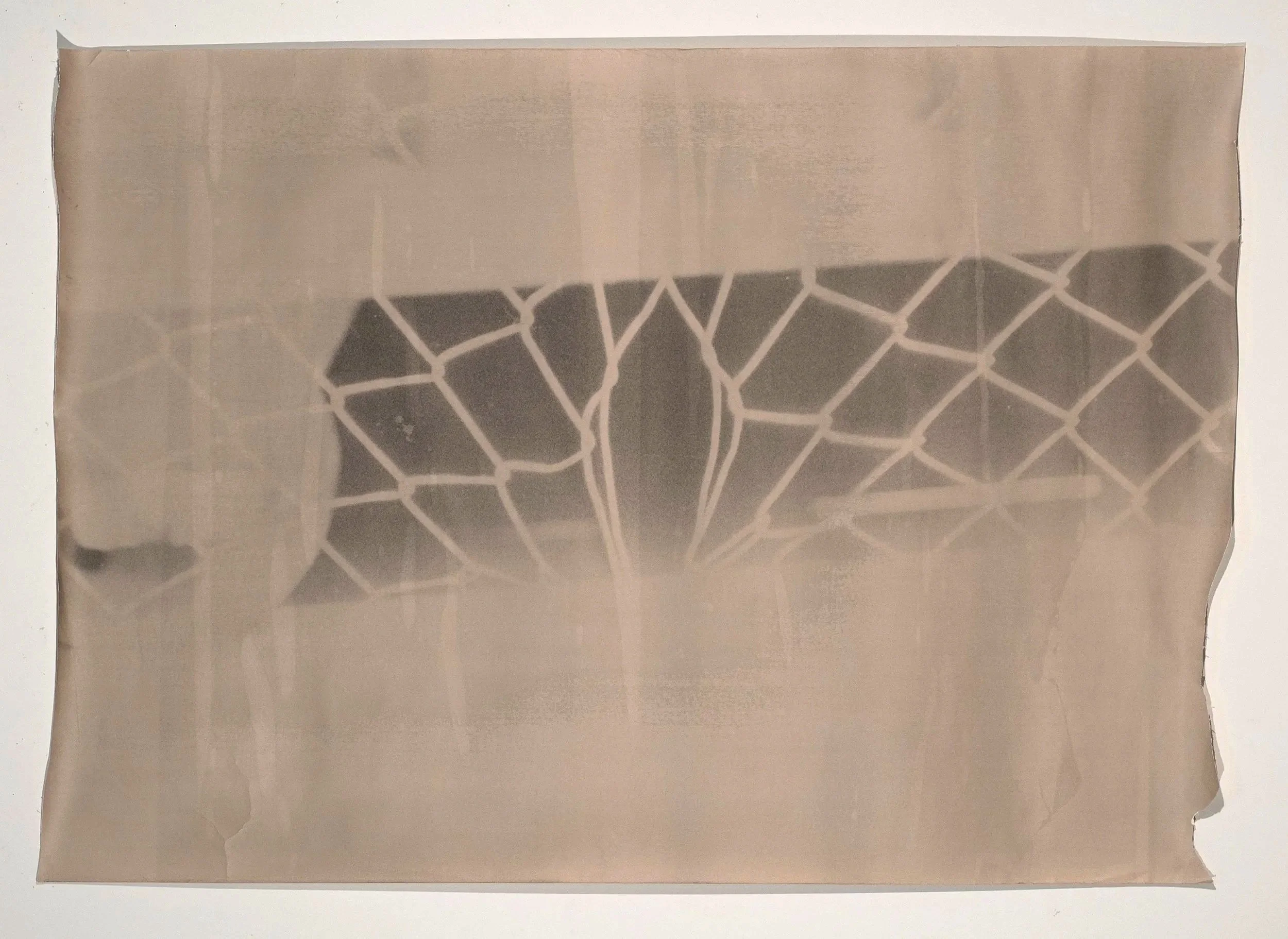 2026, silver gelatin print, 31 x 41 in.