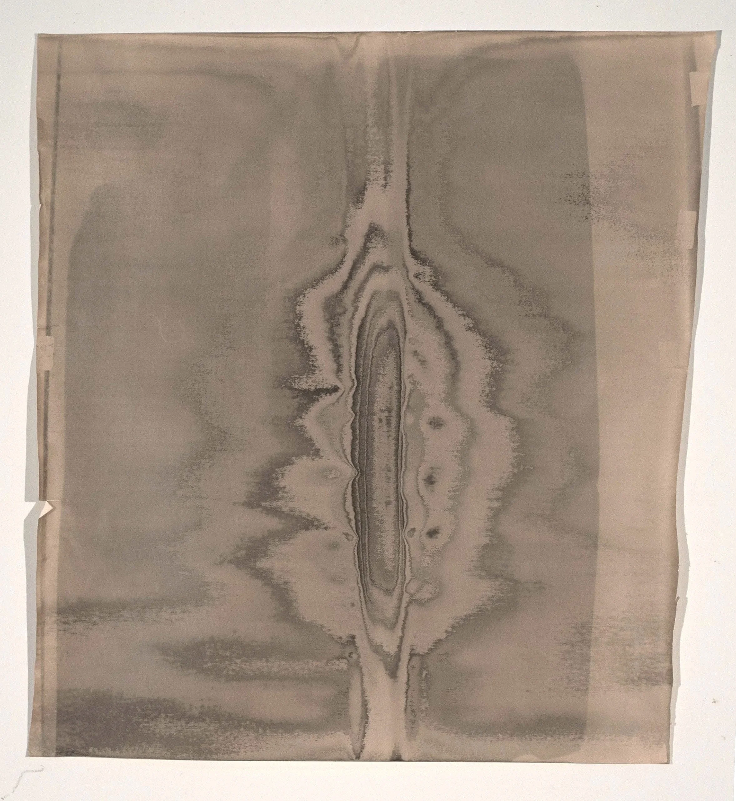 2026, silver gelatin print, 41 x 31 in.