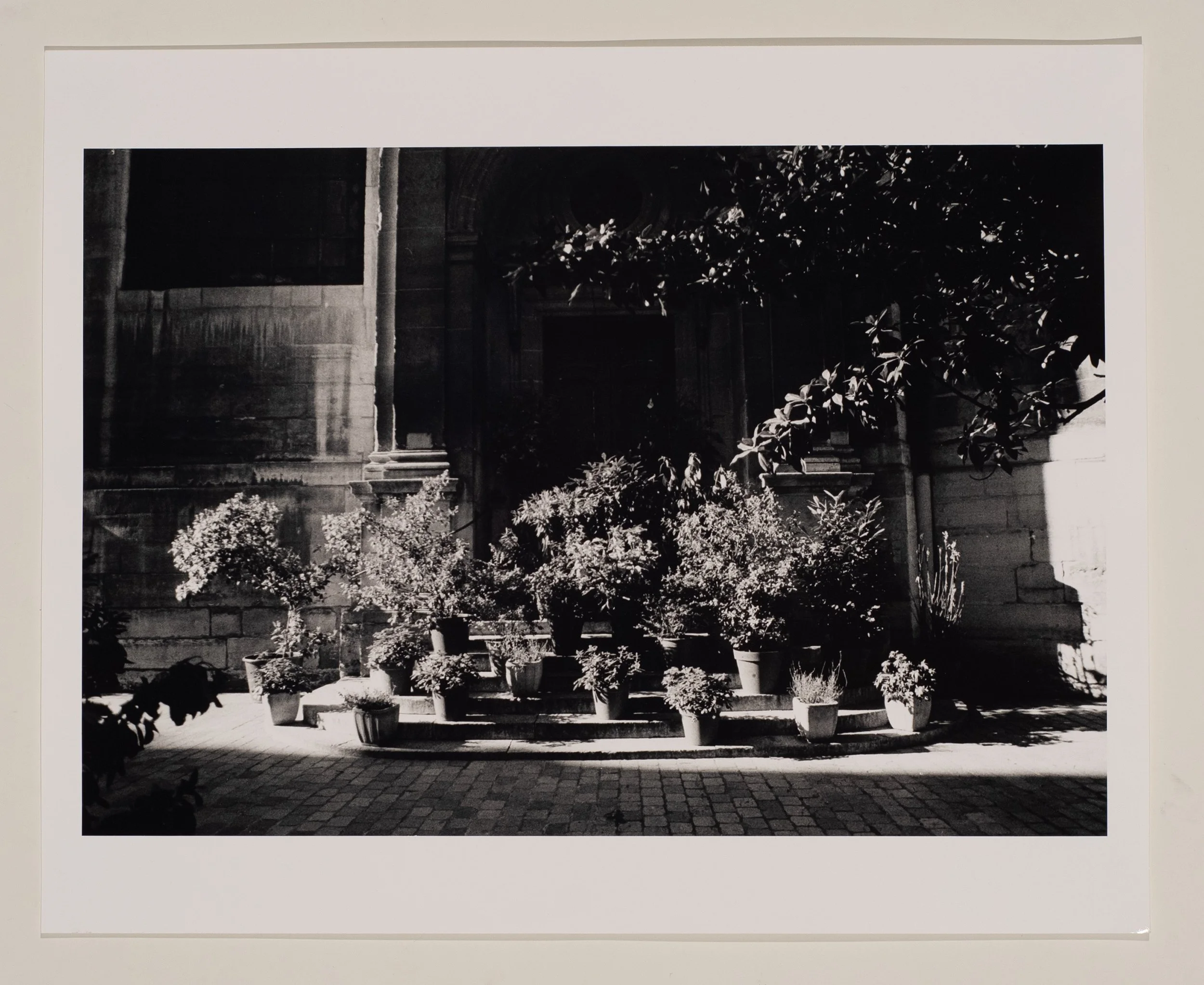 2019, silver gelatin print, 16 x 20 in.