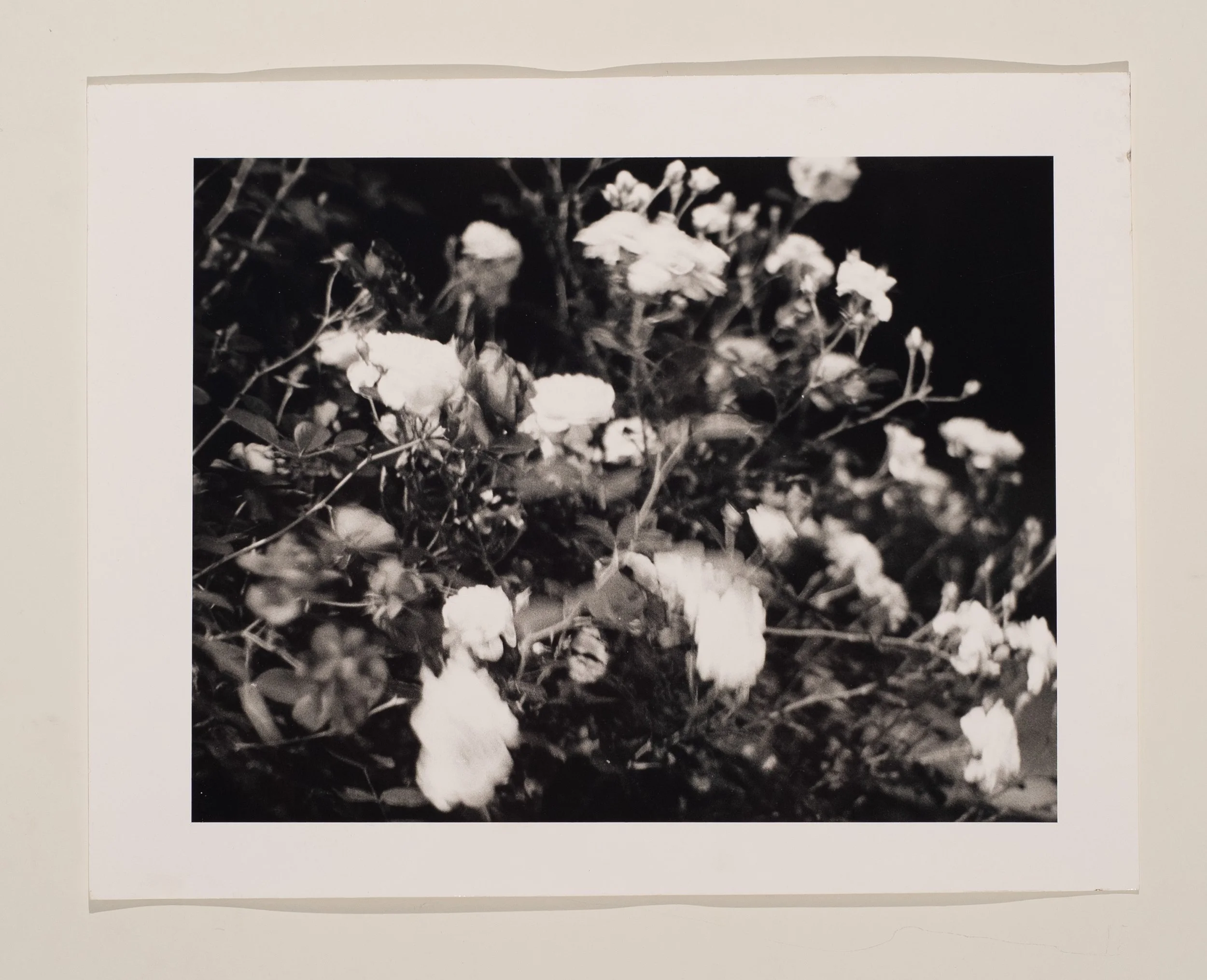2020, silver gelatin print, 11 x 14 in.