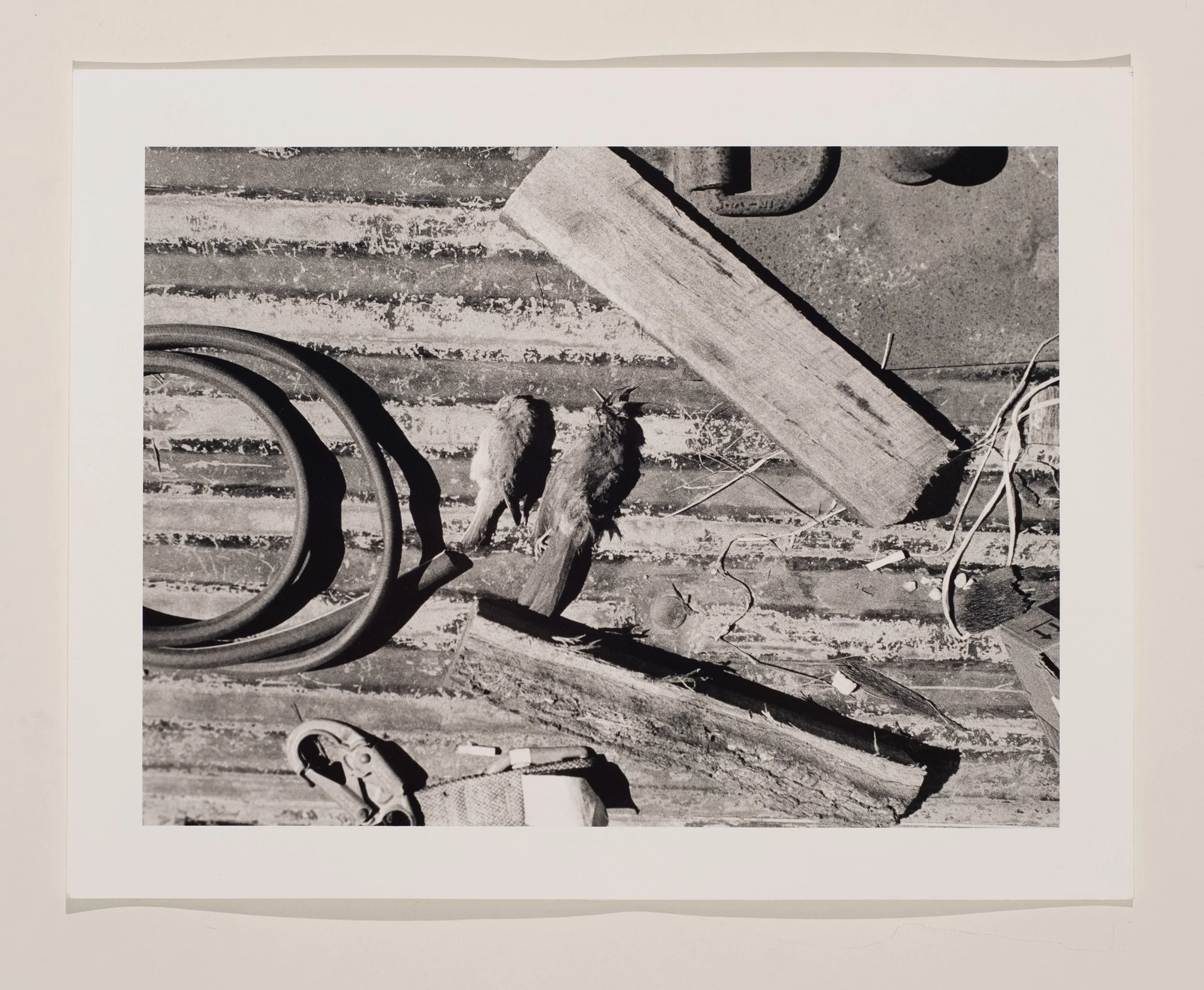 2020, silver gelatin print, 11 x 14 in.