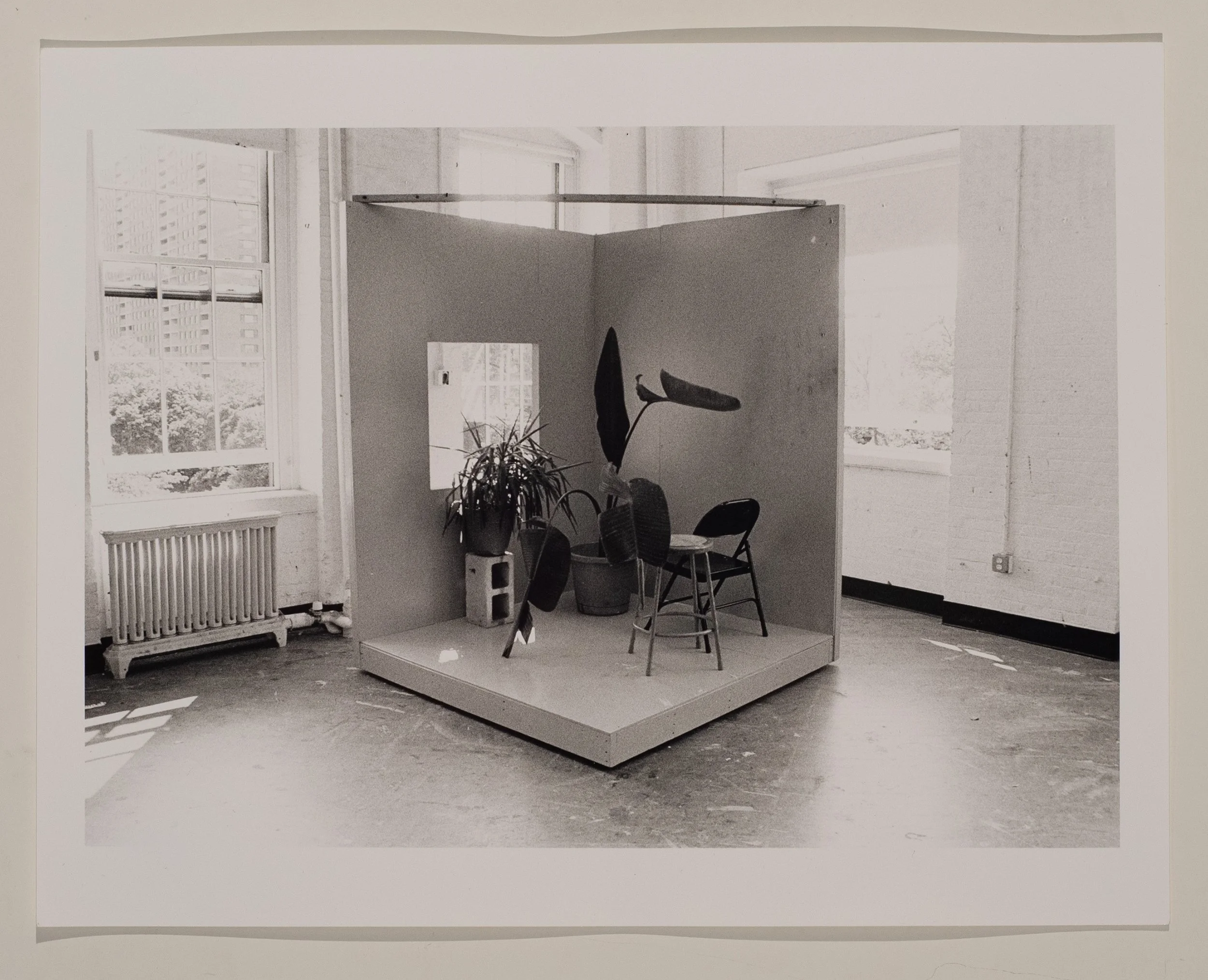 2019, silver gelatin print, 16 x 20 in.