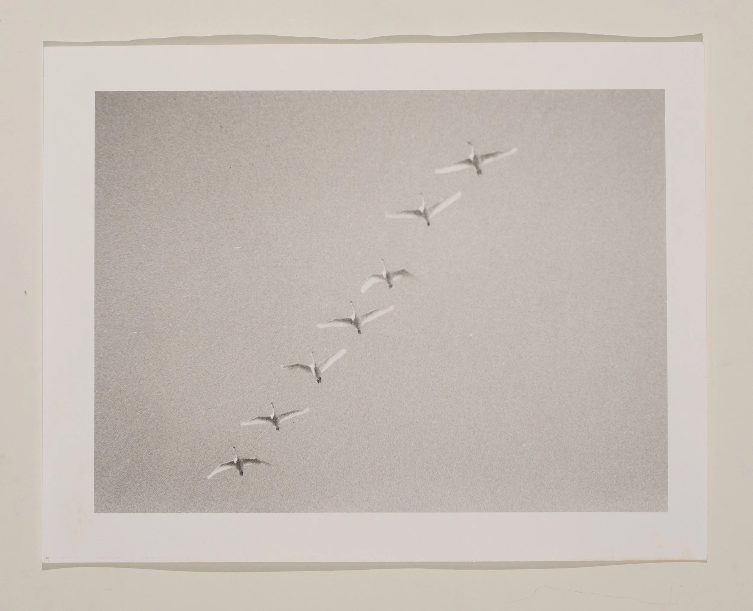 2020, silver gelatin print, 11 x 14 in.