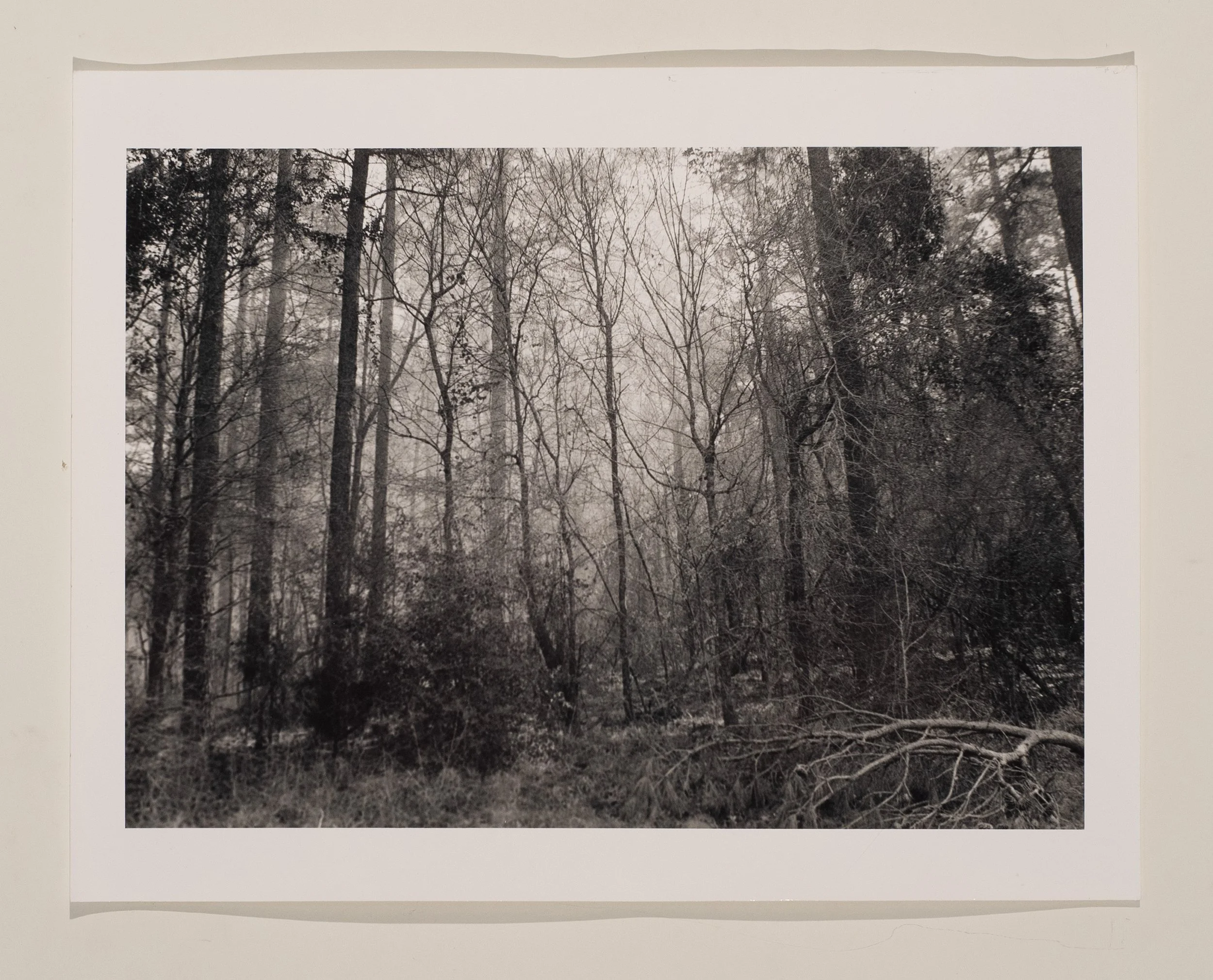 2020, silver gelatin print, 16 x 20 in.