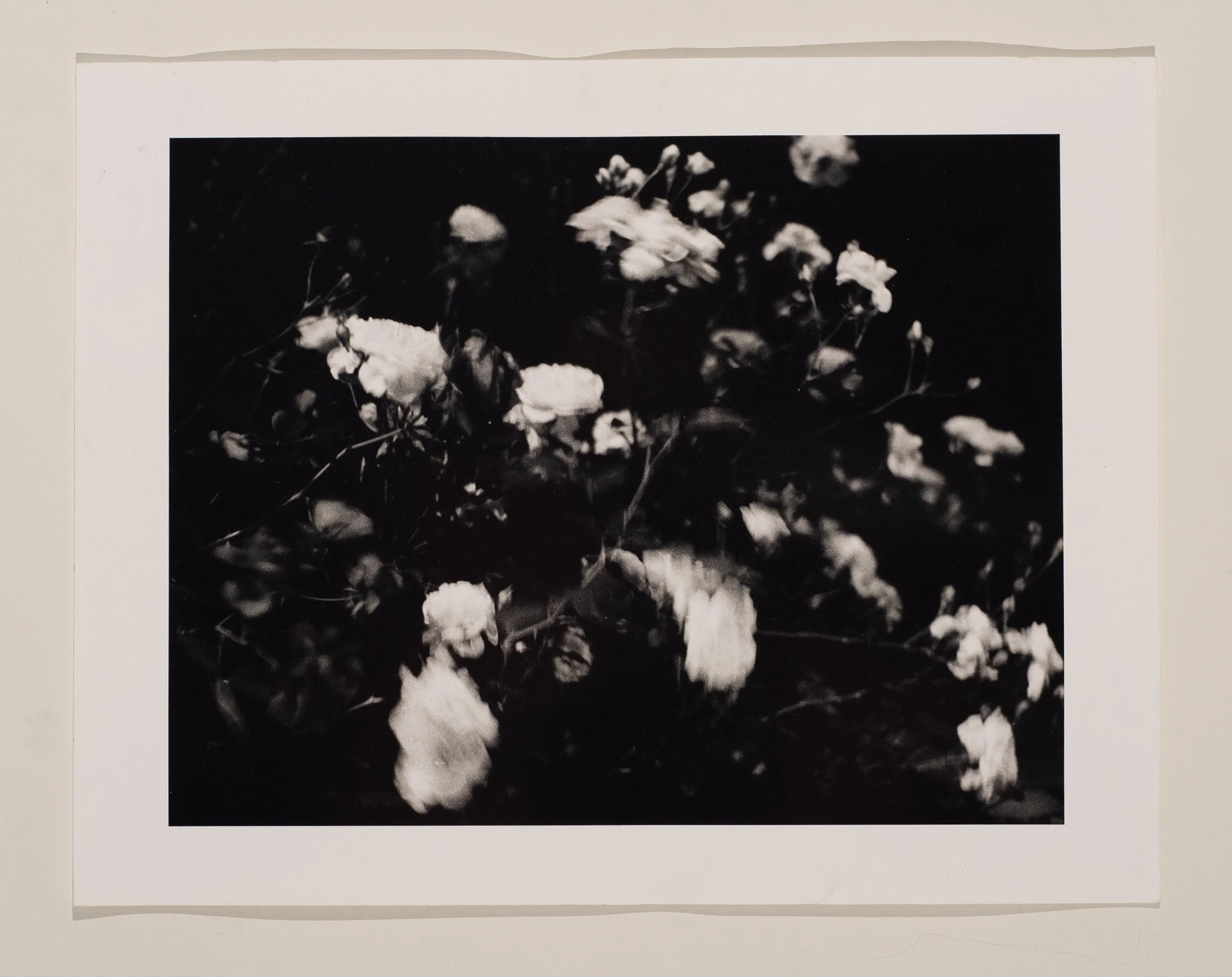 2020, silver gelatin print, 11 x 14 in.