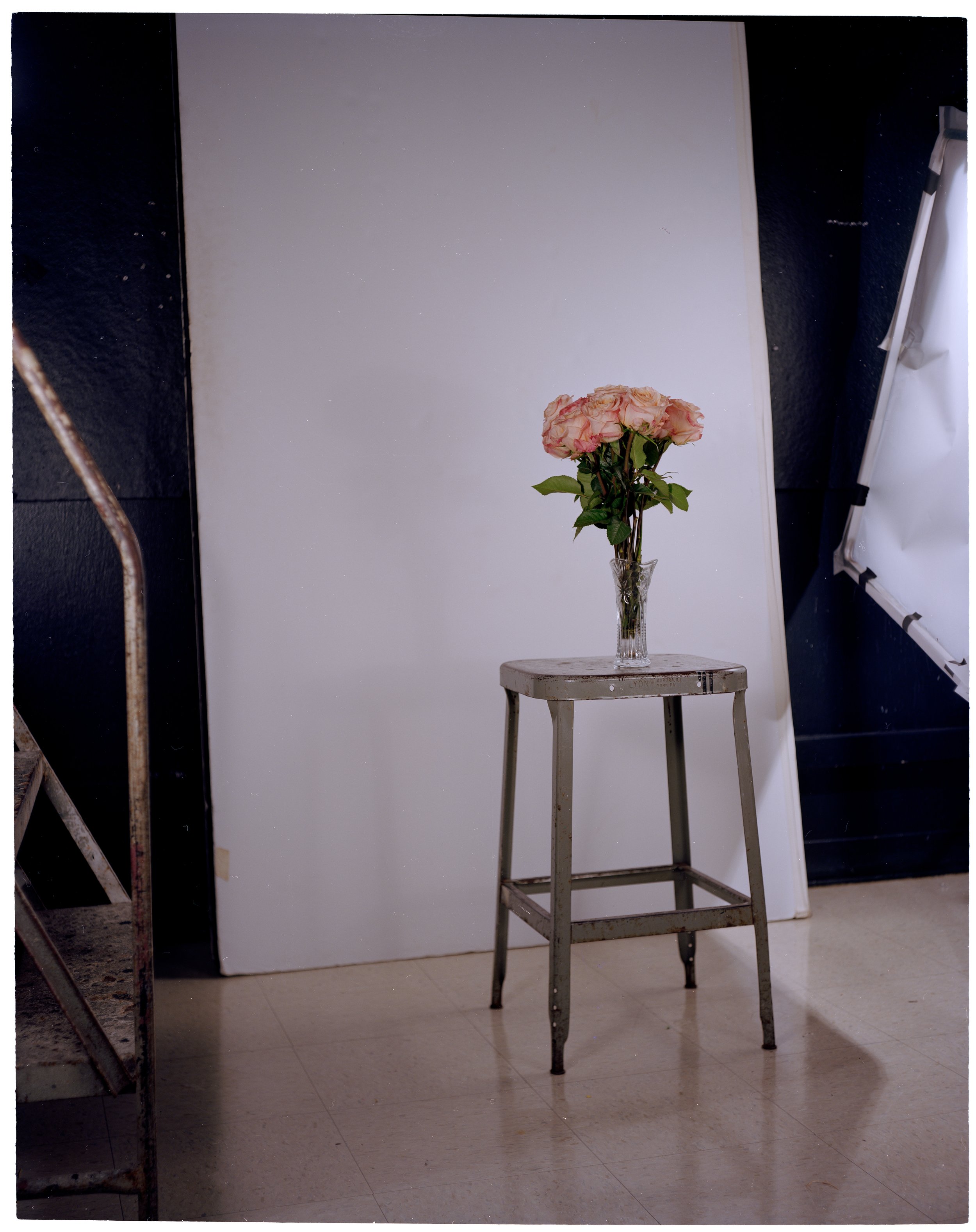 2019, 4x5 color negative