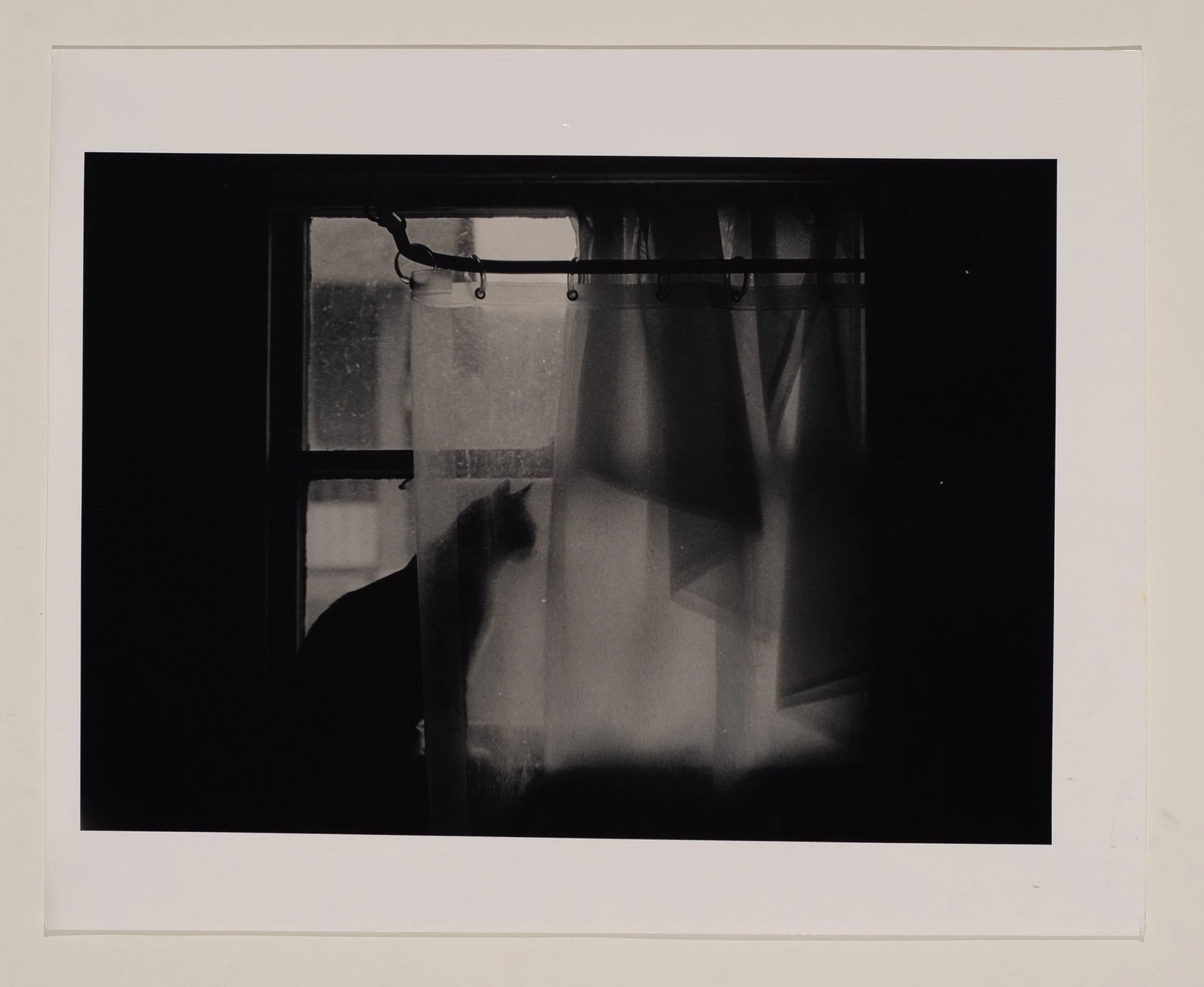 2023, silver gelatin print, 16 x 20 in.