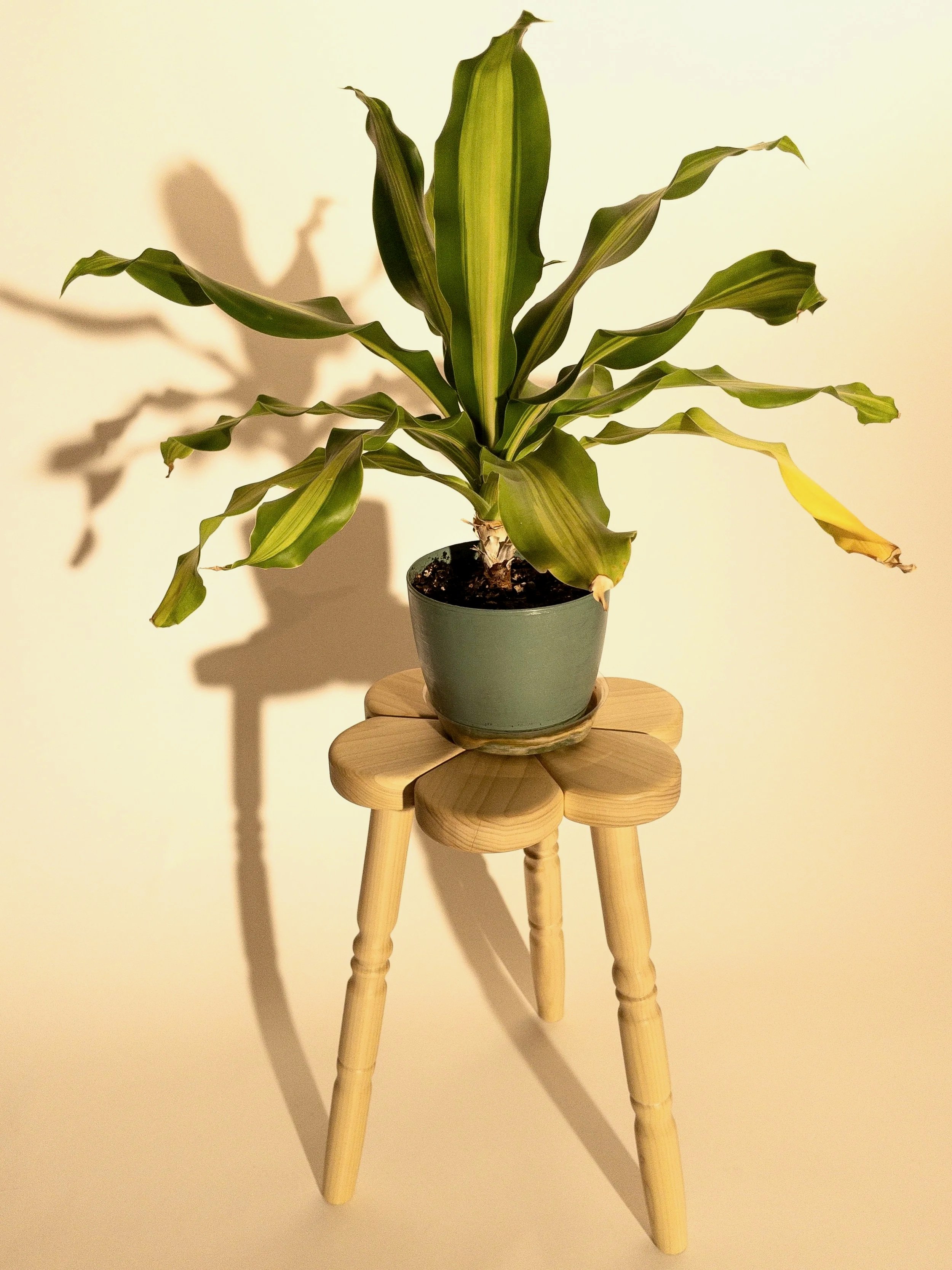 Pedal Plant Stand