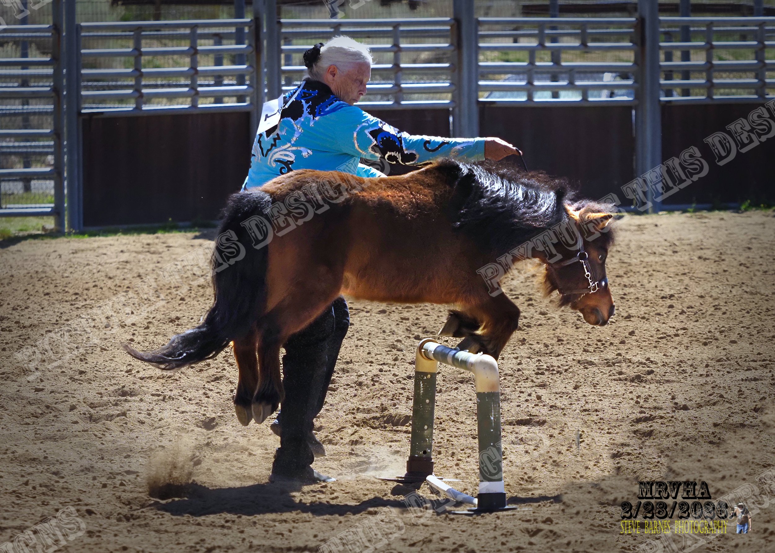 _2282739-topaz-sharpen-JPEG.jpg