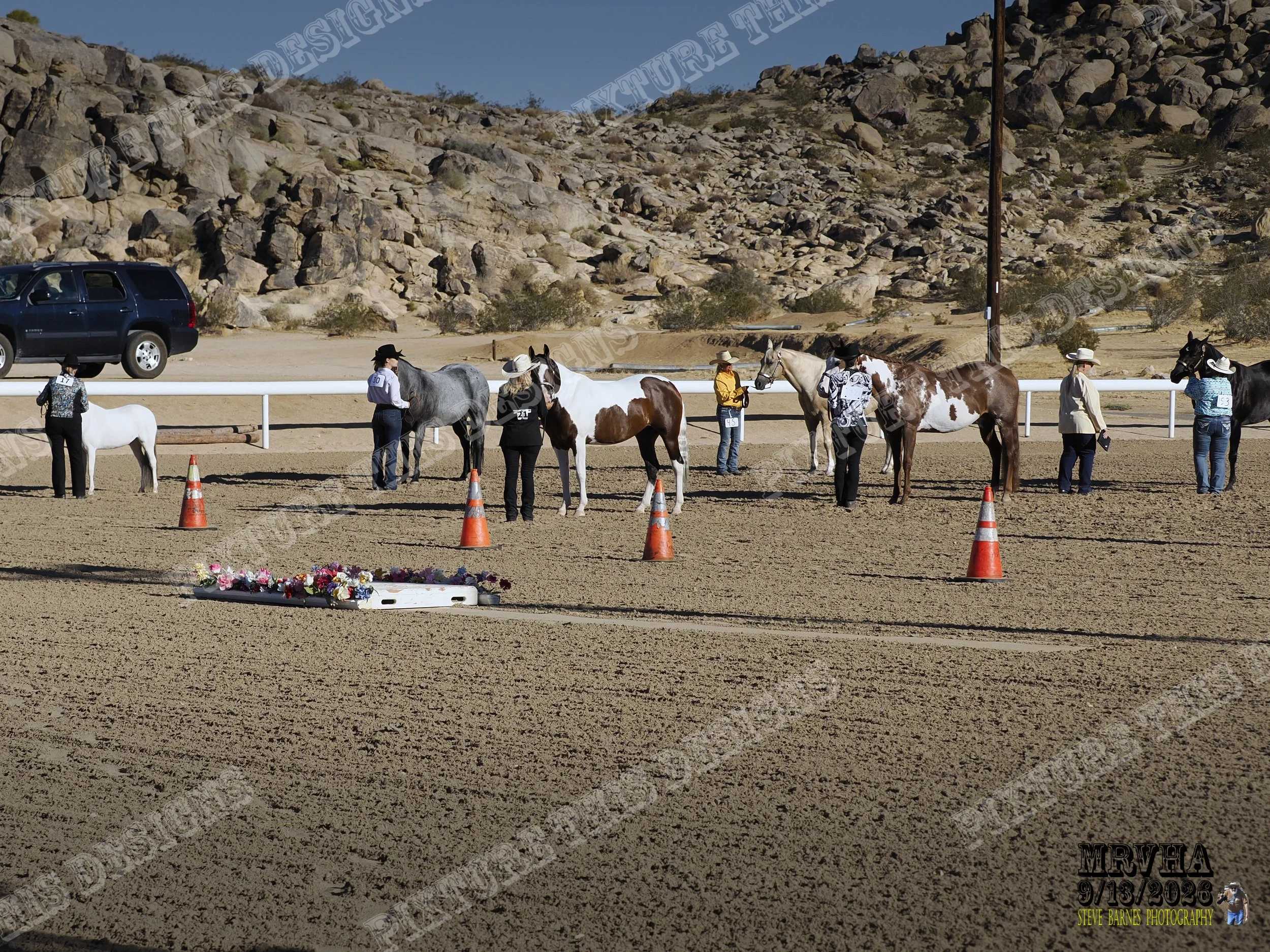 _9130014-topaz-sharpen-jpg.jpg