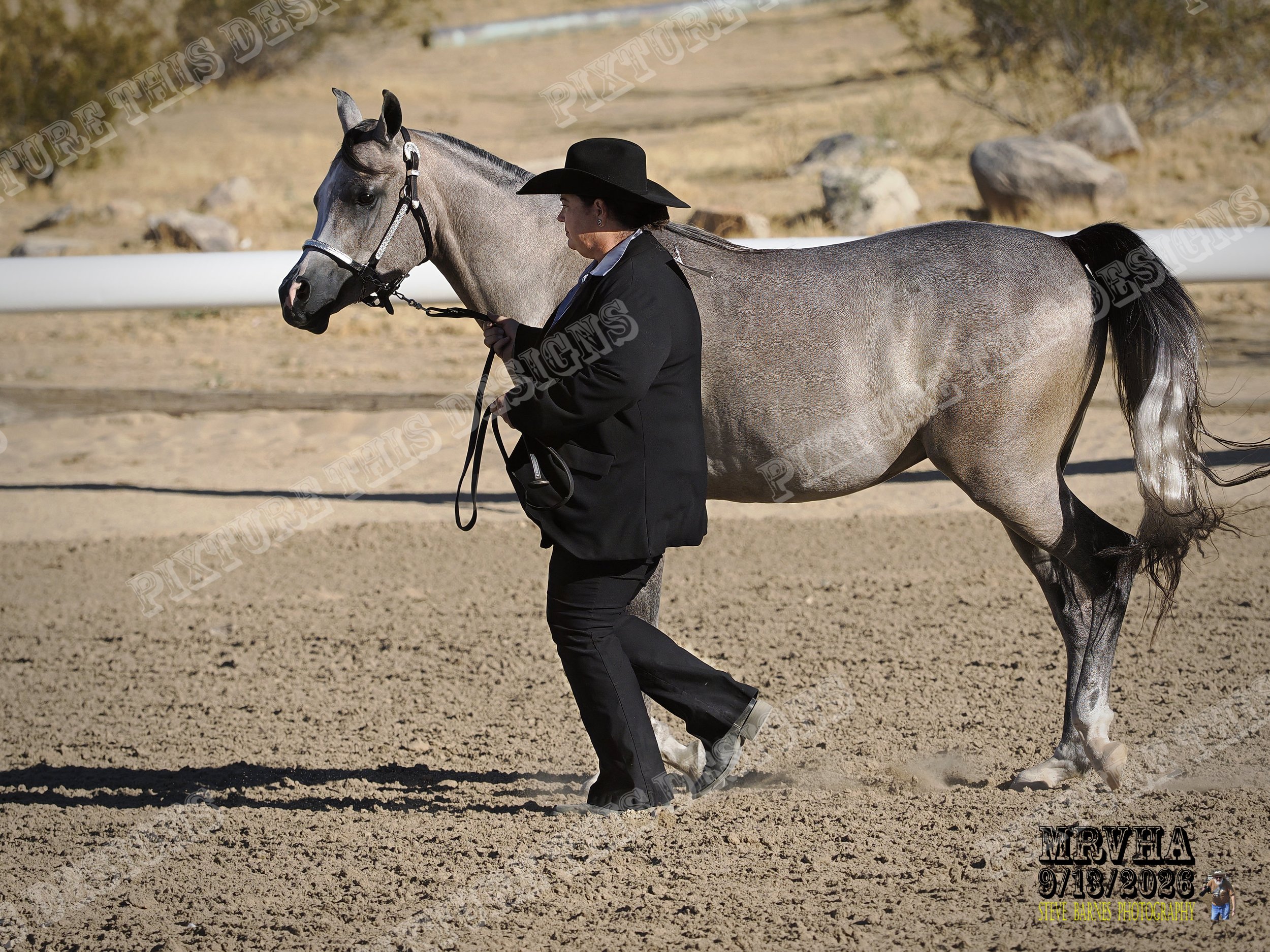 _9130030-topaz-sharpen-jpg.jpg