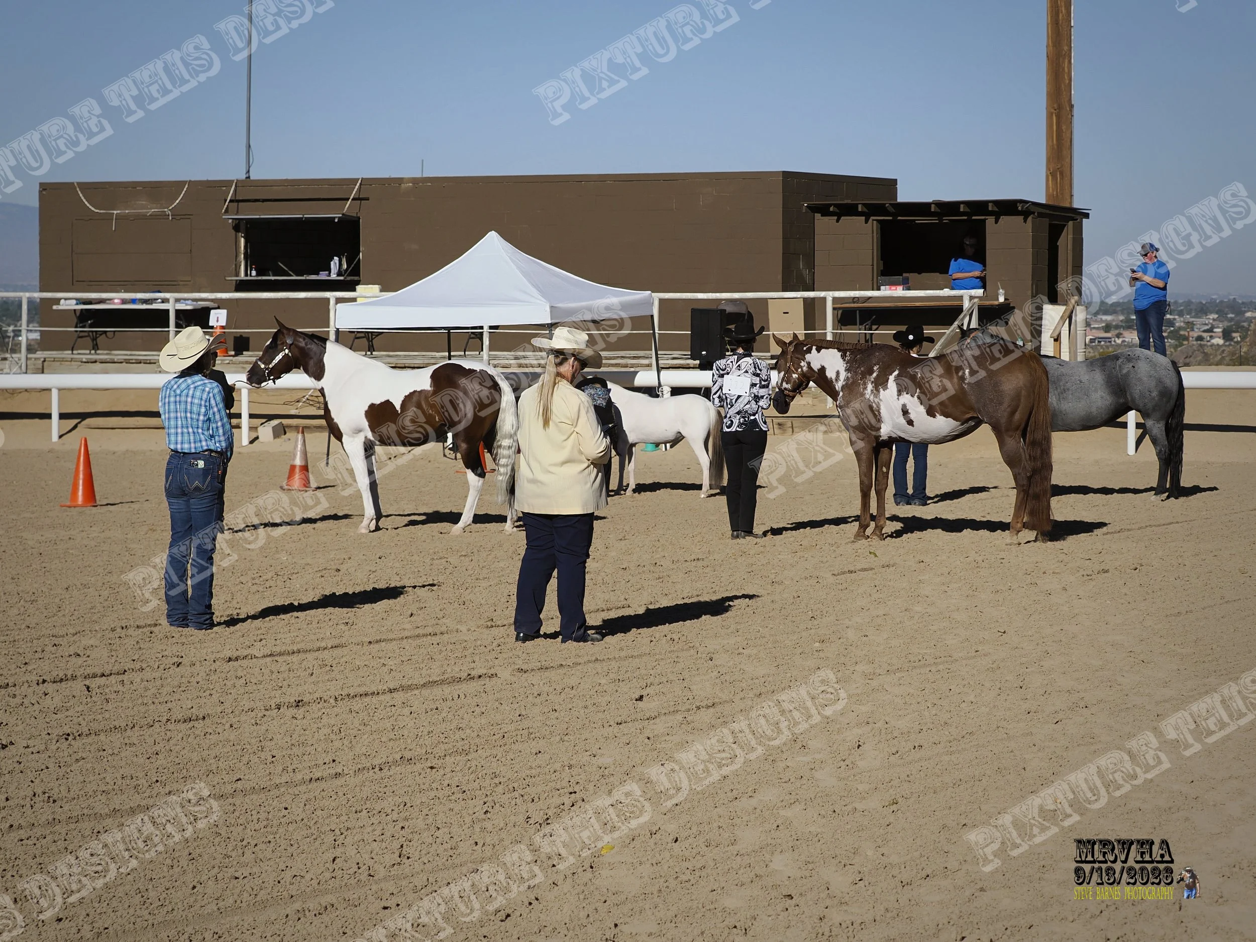 _9130017-topaz-sharpen-jpg.jpg