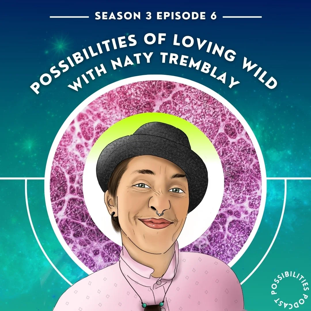2022 - Select Podcast Covers for Possibilities Podcast