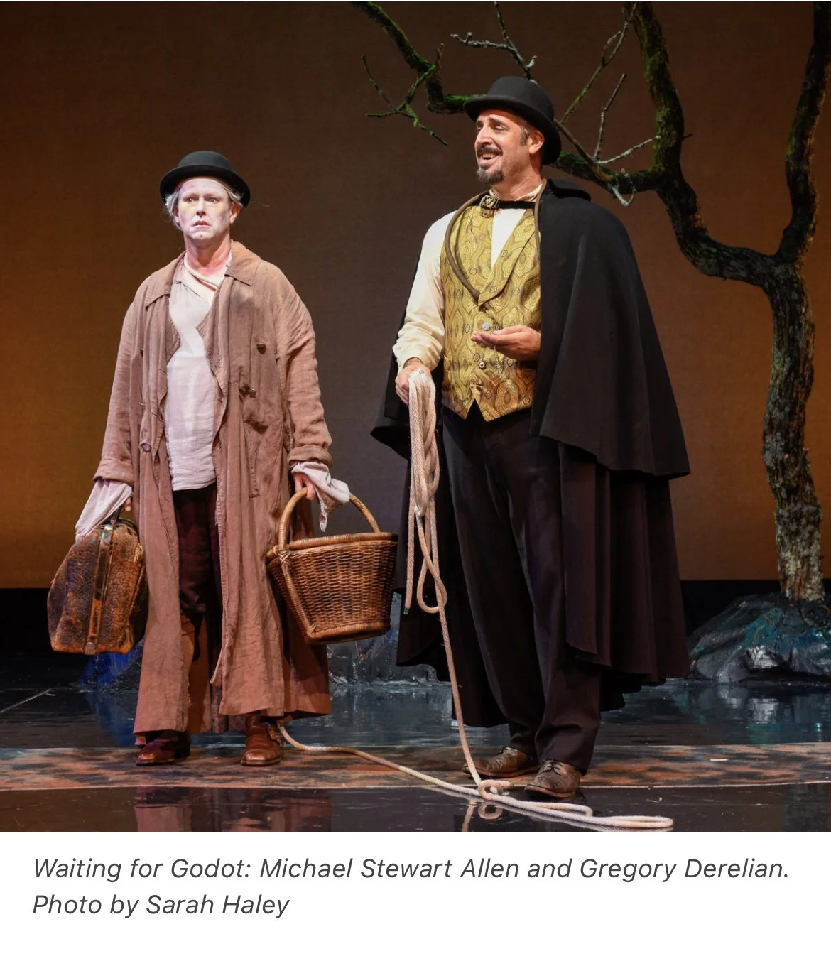 Waiting for Godot at STNJ