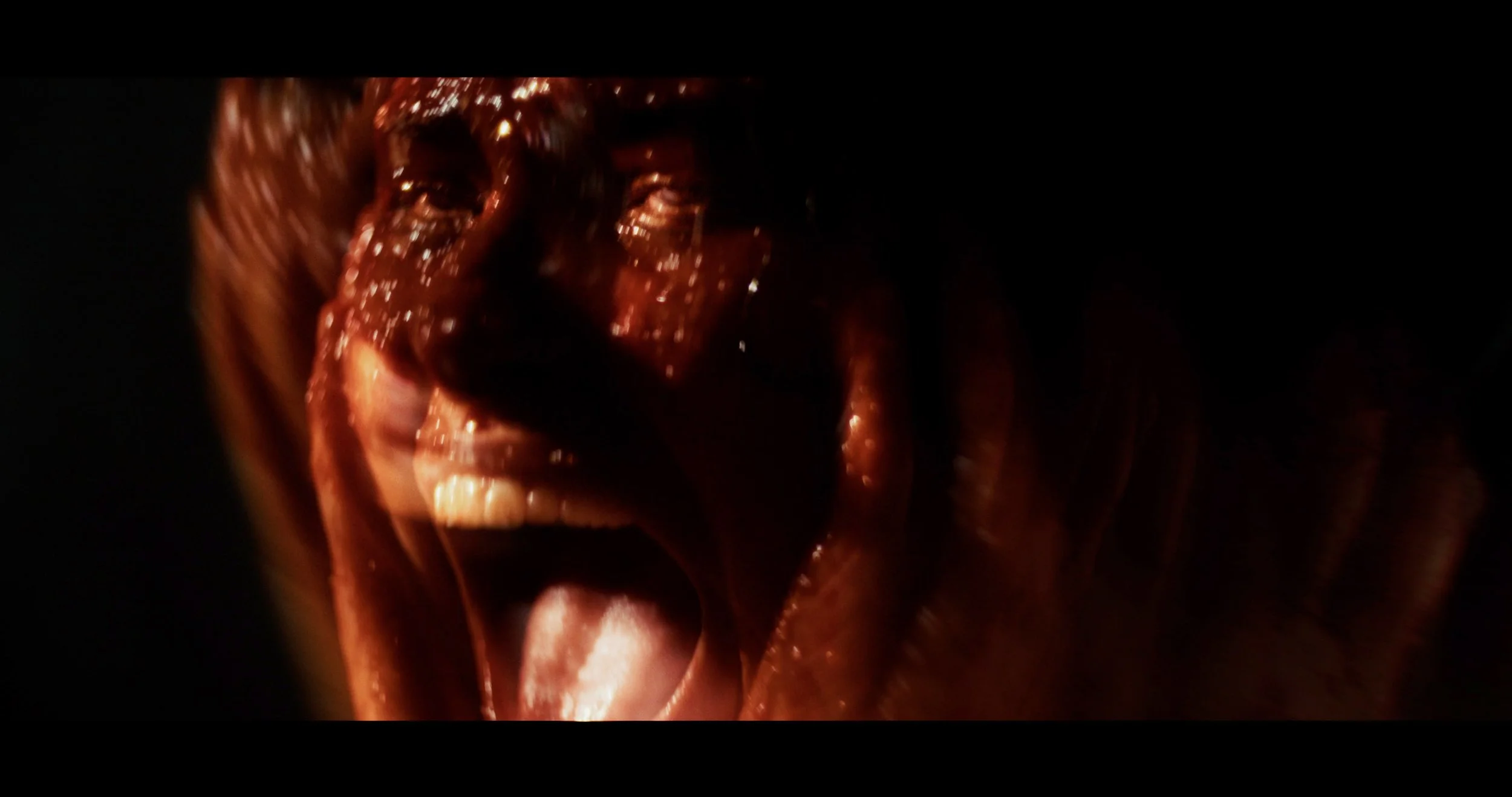 Behold And Hear_Fest Edit_Resolve Grade.00_13_28_10.Still012.jpg