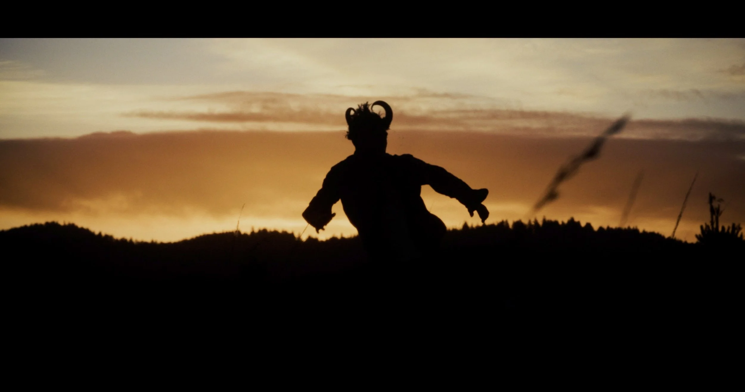 Behold And Hear_Fest Edit_Resolve Grade.00_00_22_06.Still019.jpg