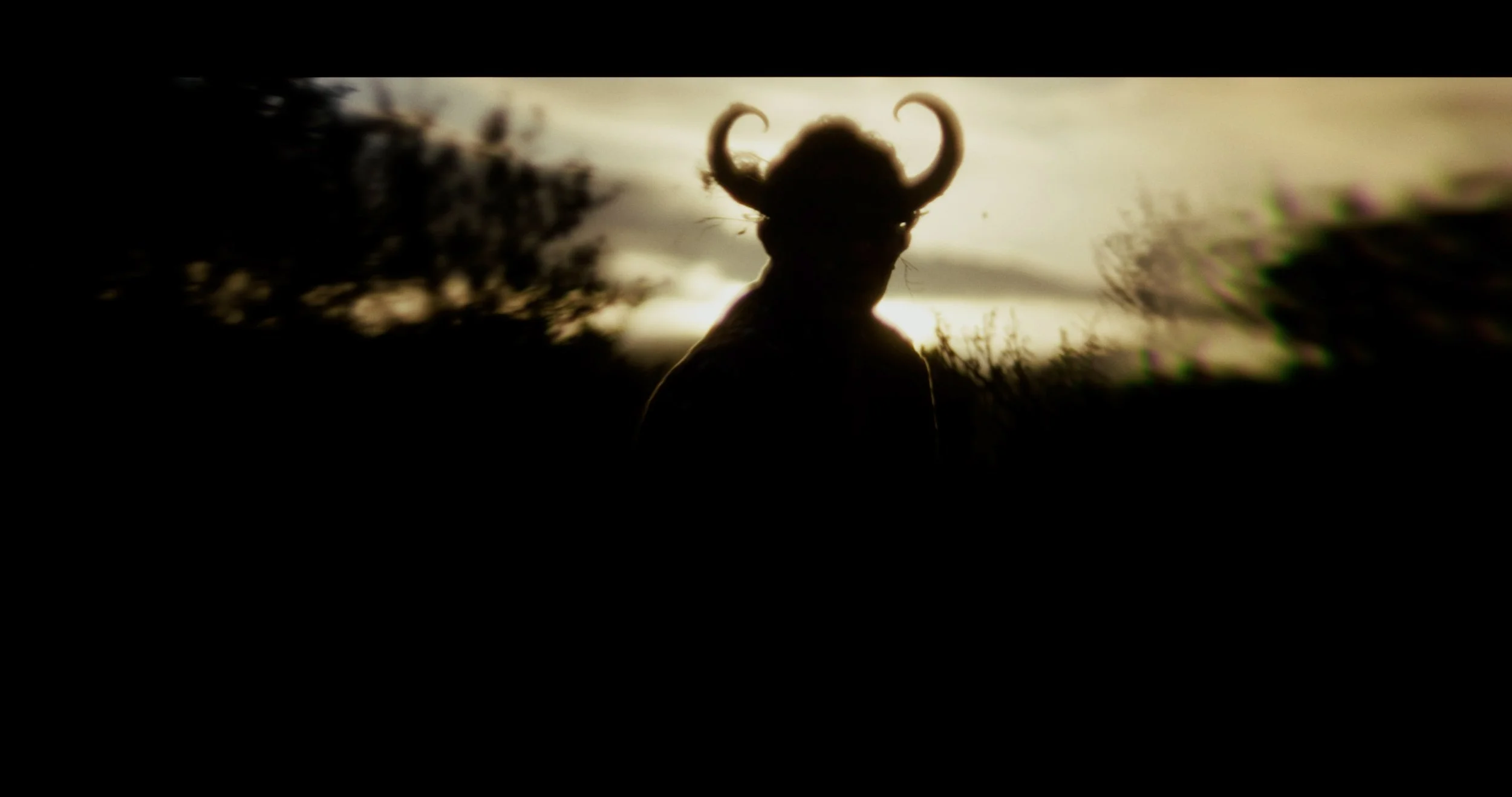 Behold And Hear_Fest Edit_Resolve Grade.00_00_28_20.Still002.jpg