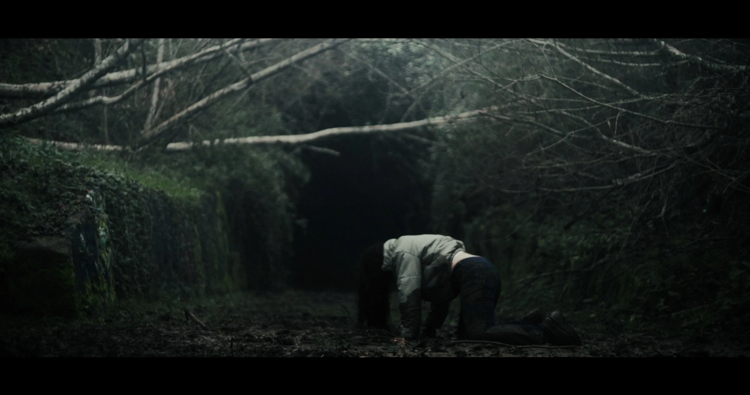 Behold And Hear_Fest Edit_Resolve Grade.00_19_09_11.Still032.jpg