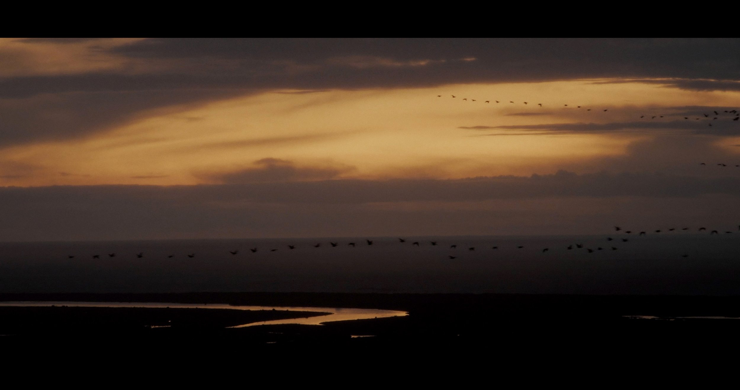 Behold And Hear_Fest Edit_Resolve Grade.00_17_16_23.Still013.jpg