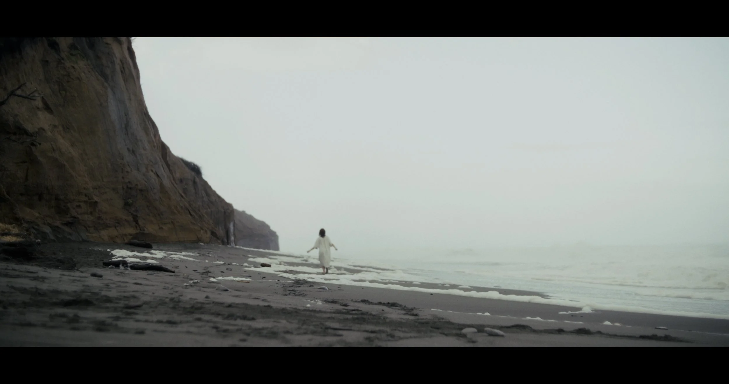 Behold And Hear_Fest Edit_Resolve Grade.00_25_35_18.Still018.jpg