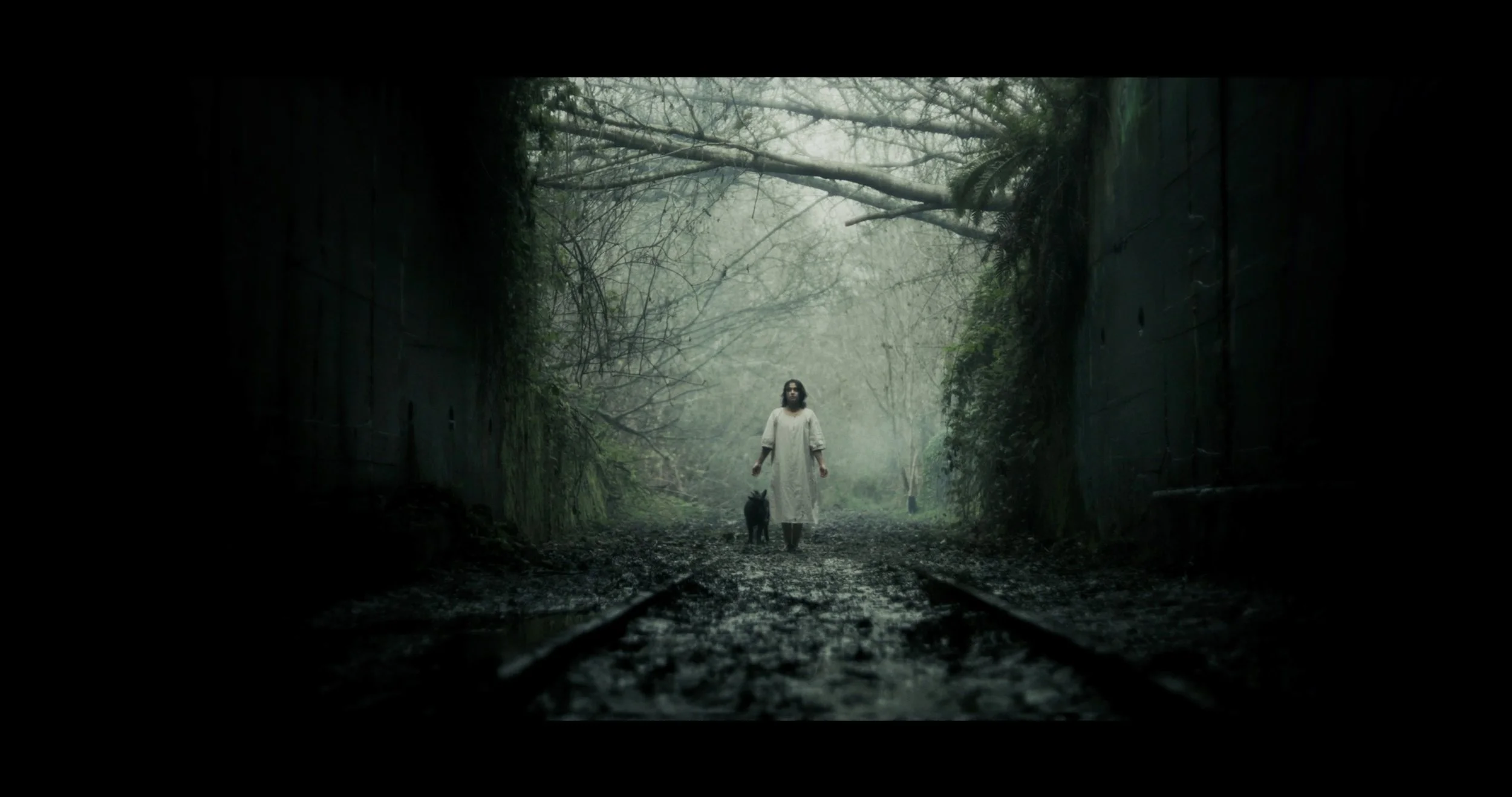 Behold And Hear_Fest Edit_Resolve Grade.00_18_51_02.Still014.jpg