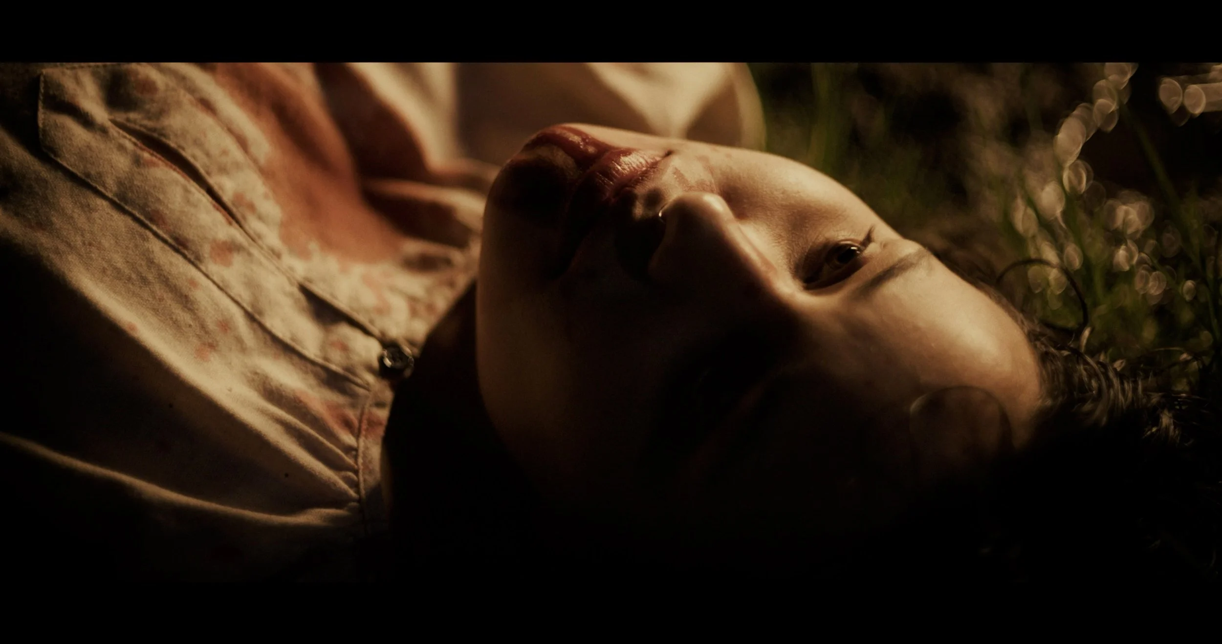 Behold And Hear_Fest Edit_Resolve Grade.00_23_05_08.Still031.jpg